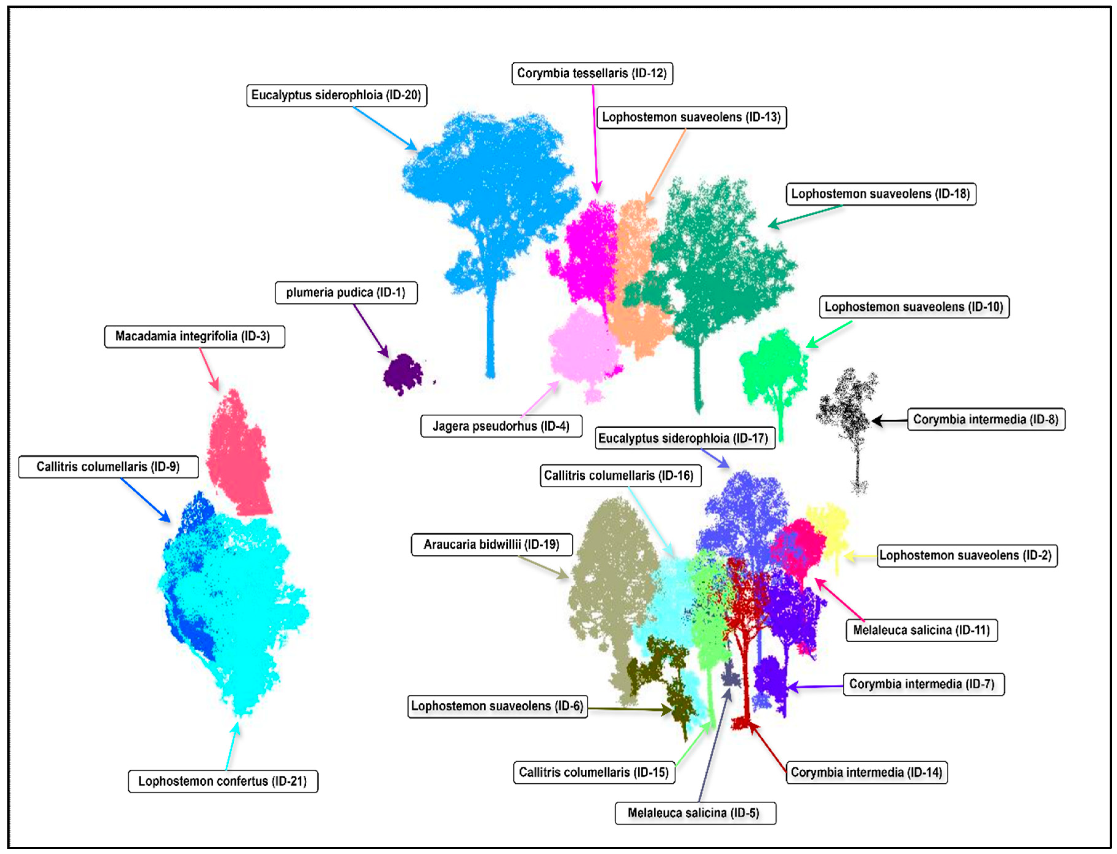 Remotesensing 17 00552 g009