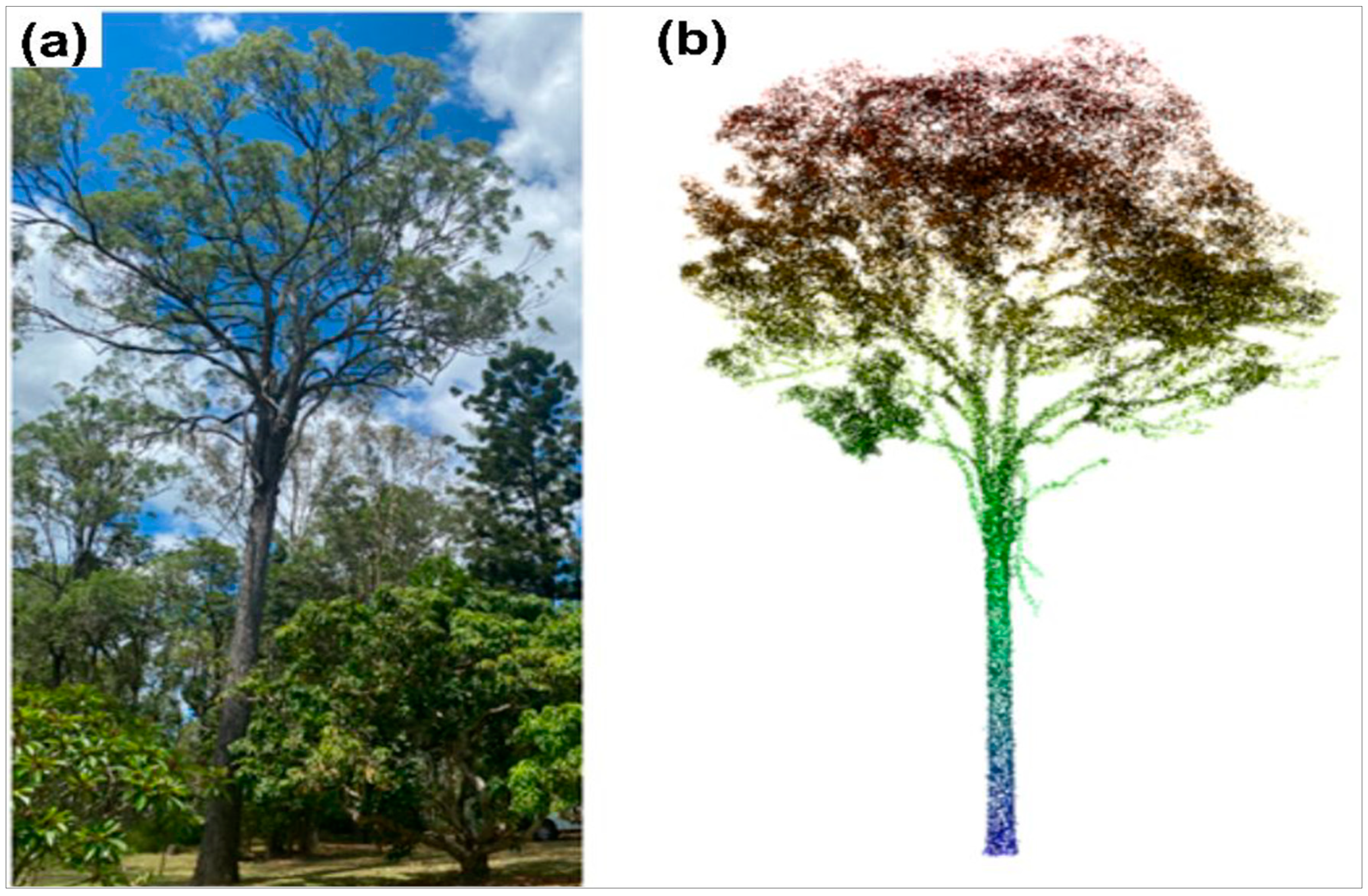Remotesensing 17 00552 g011