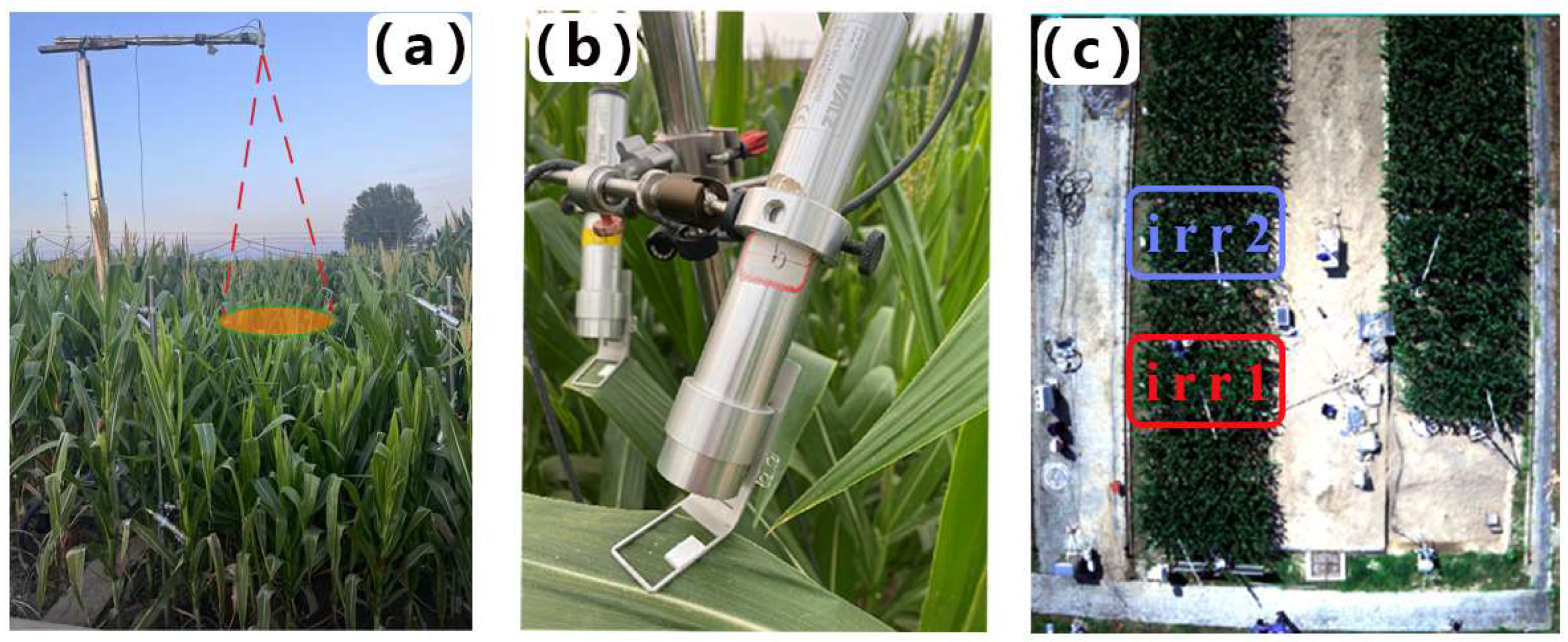 Remotesensing 17 00565 g001 Remotesensing 17 00565 g001