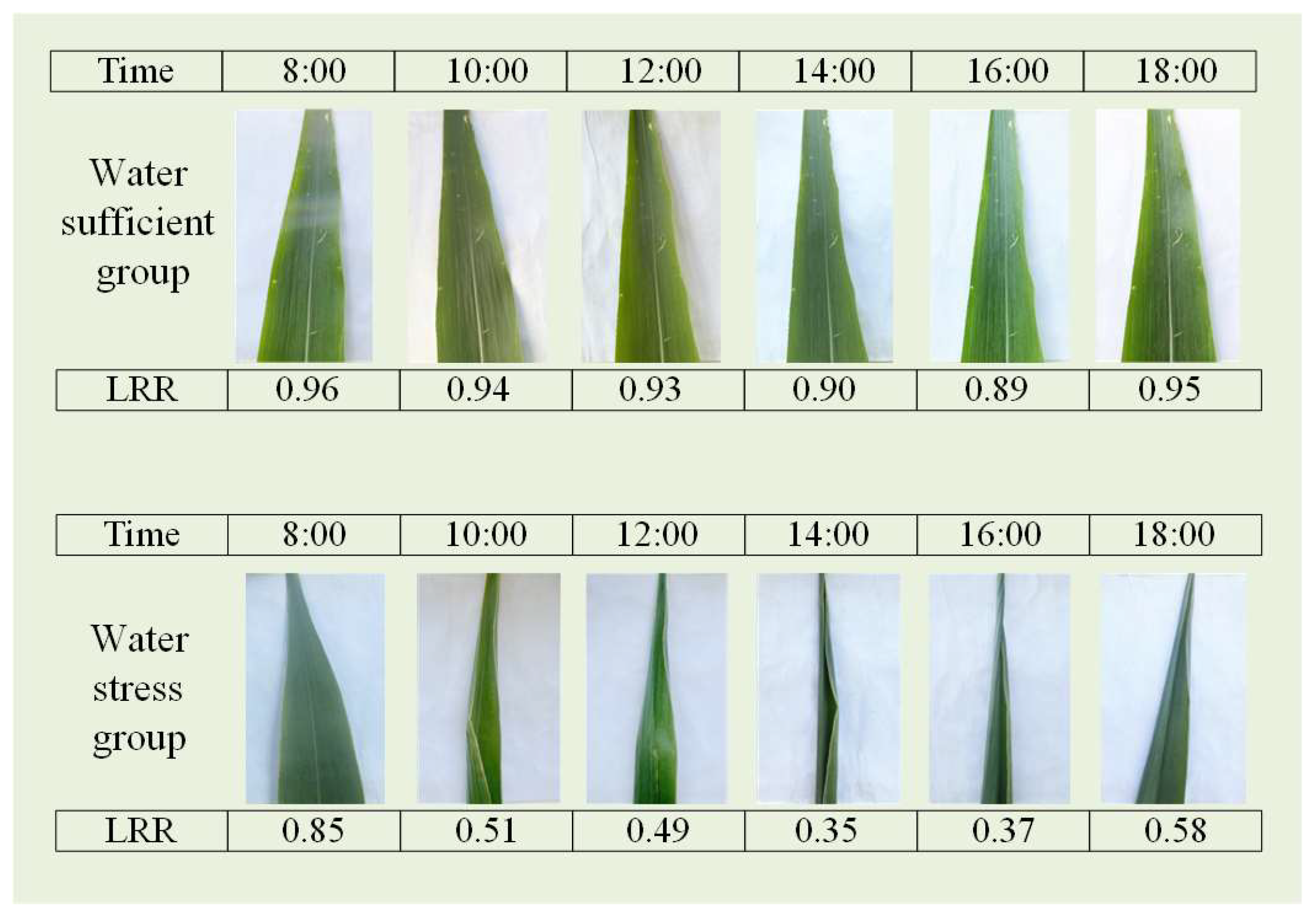 Remotesensing 17 00565 g003 Remotesensing 17 00565 g003