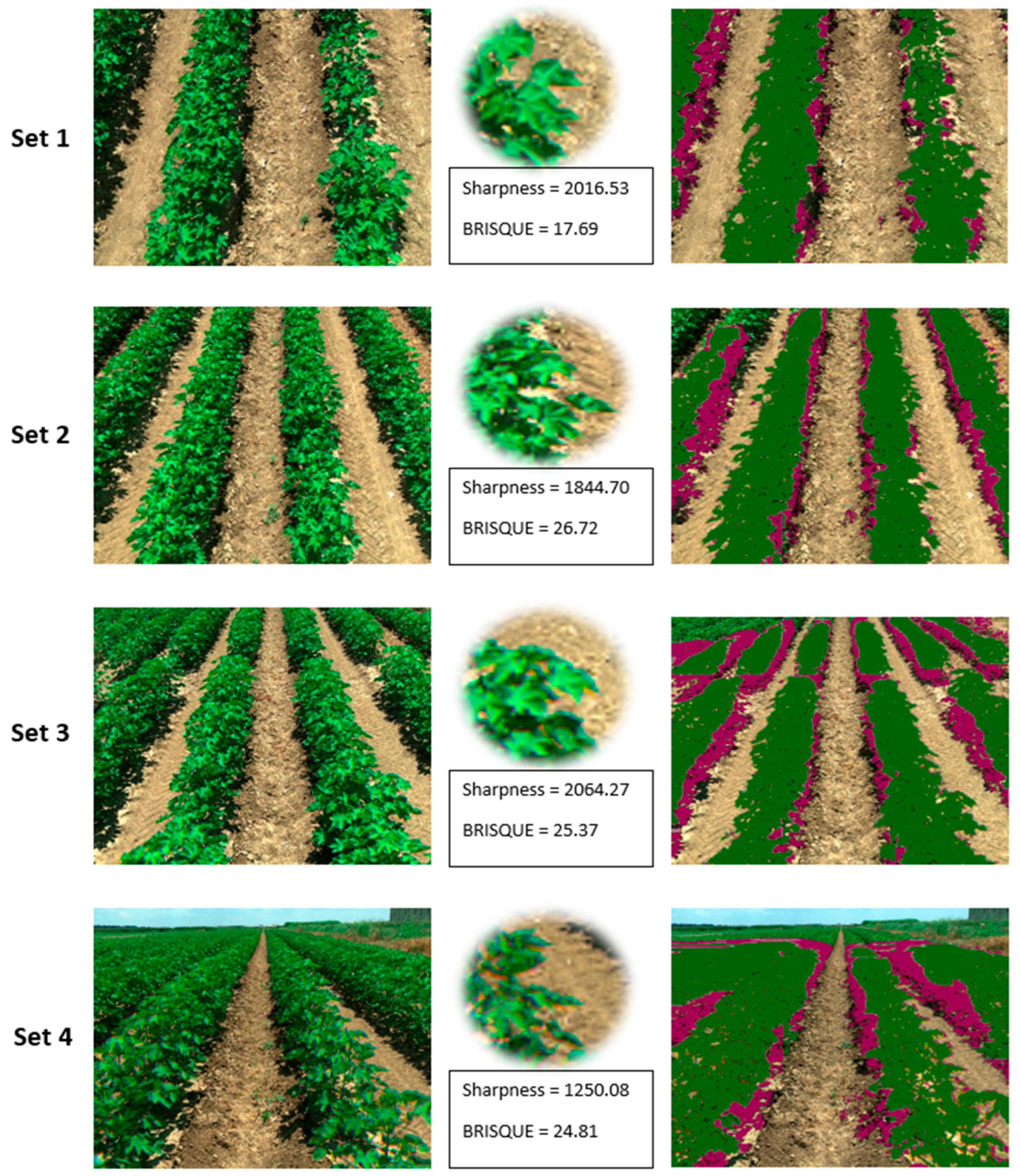 Remotesensing 17 00579 g011