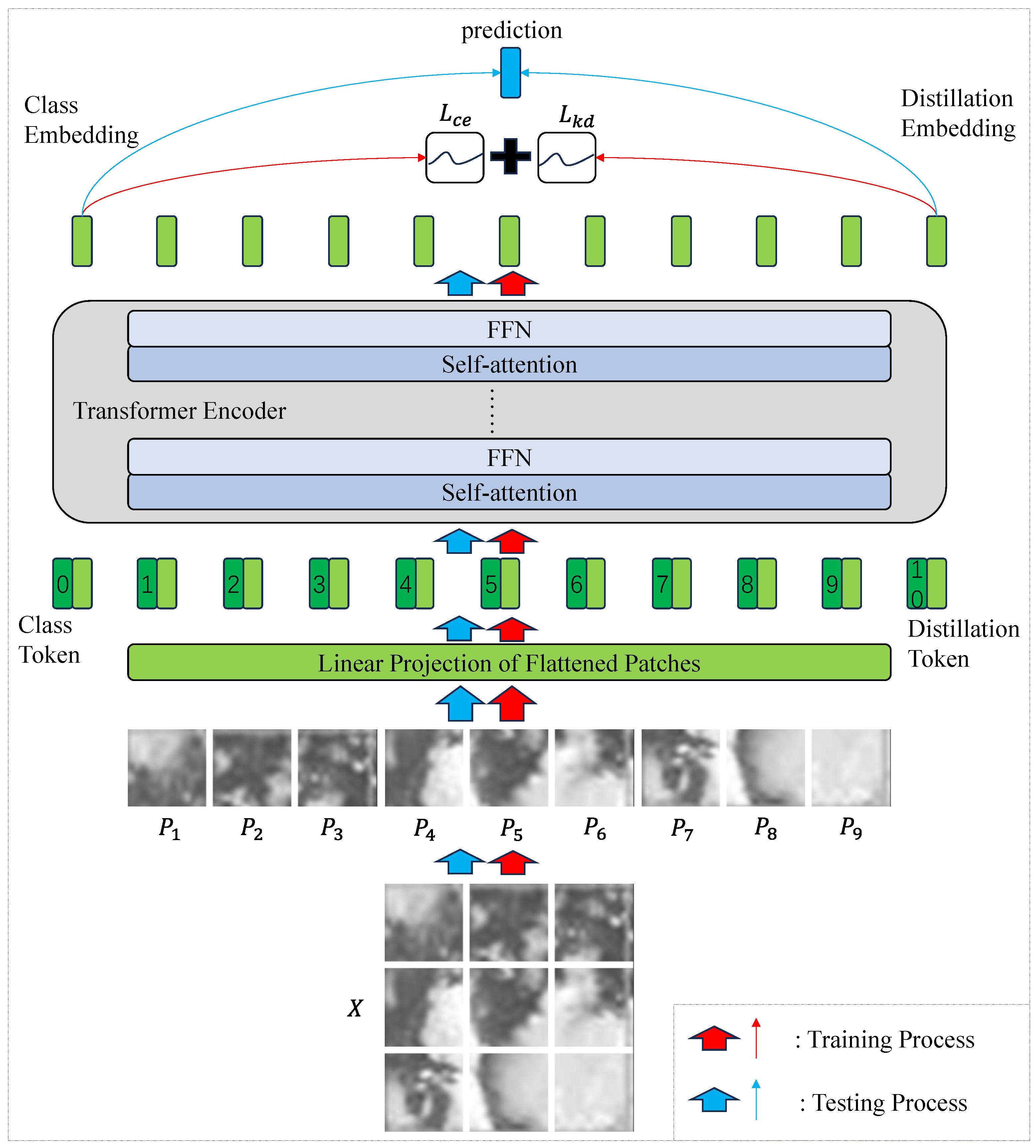 Remotesensing 17 00585 g003