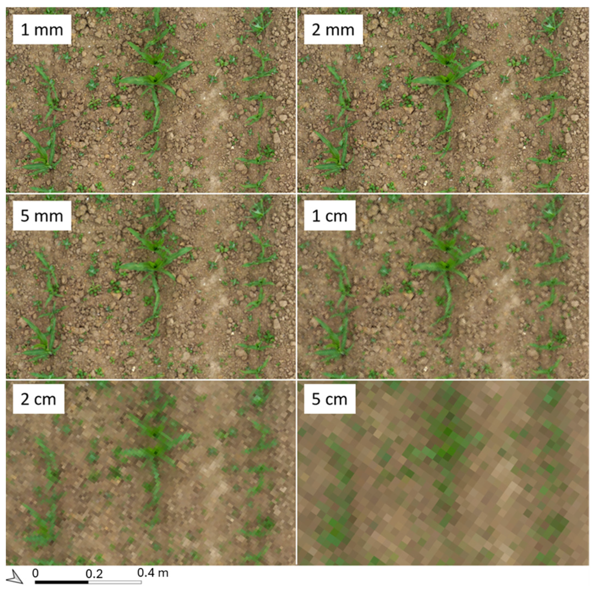 Remotesensing 17 00606 g005