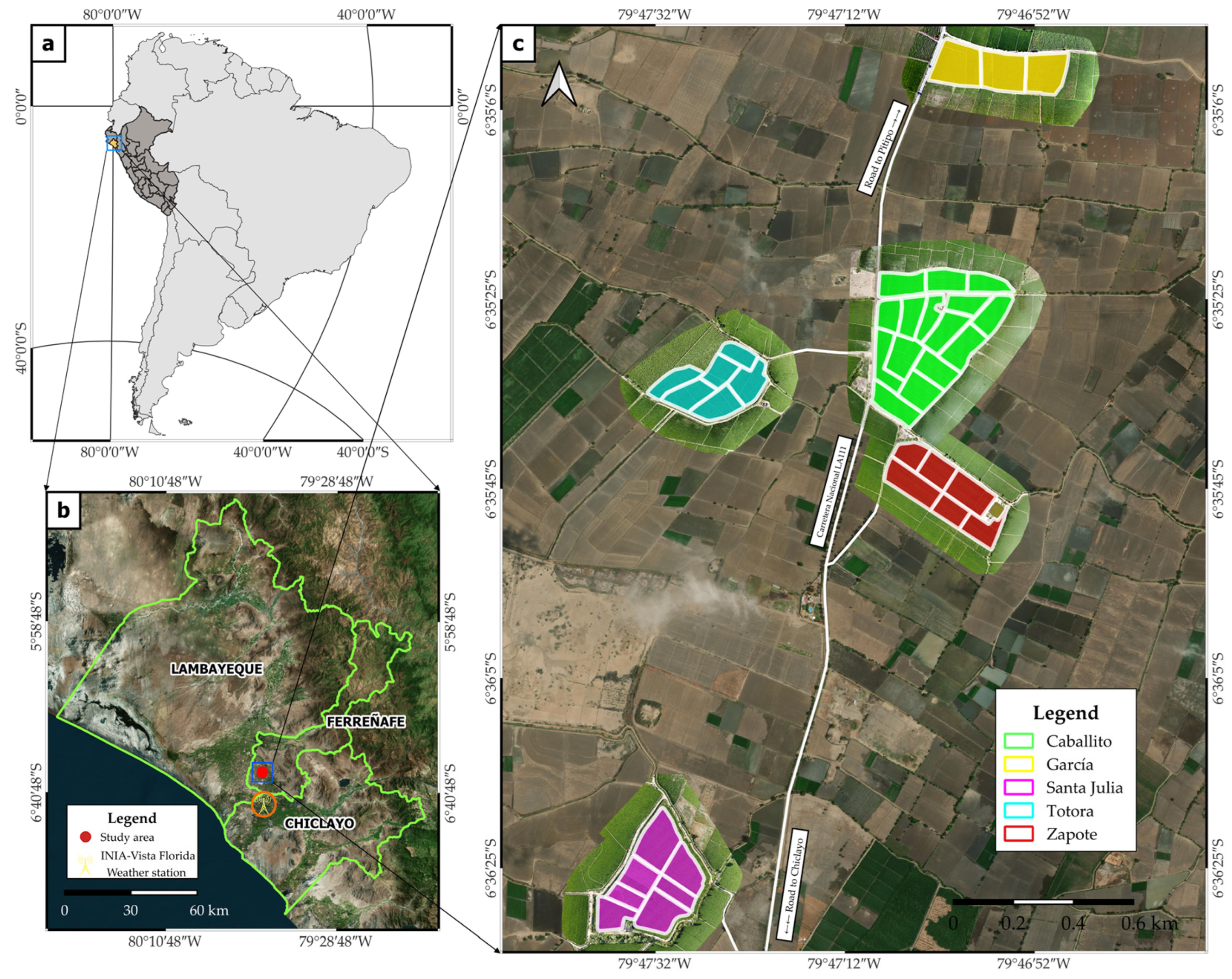 Remotesensing 17 00632 g001
