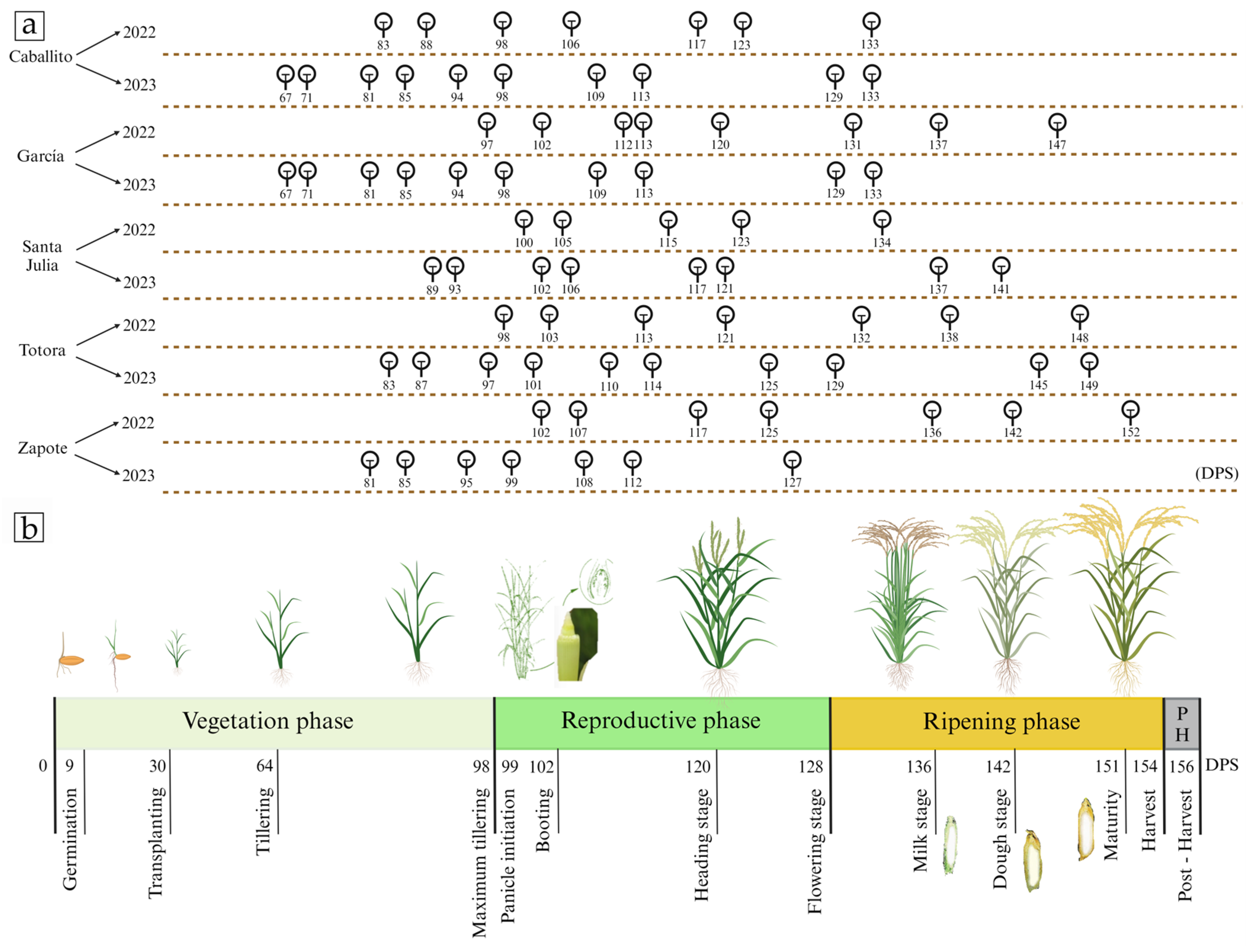 Remotesensing 17 00632 g003