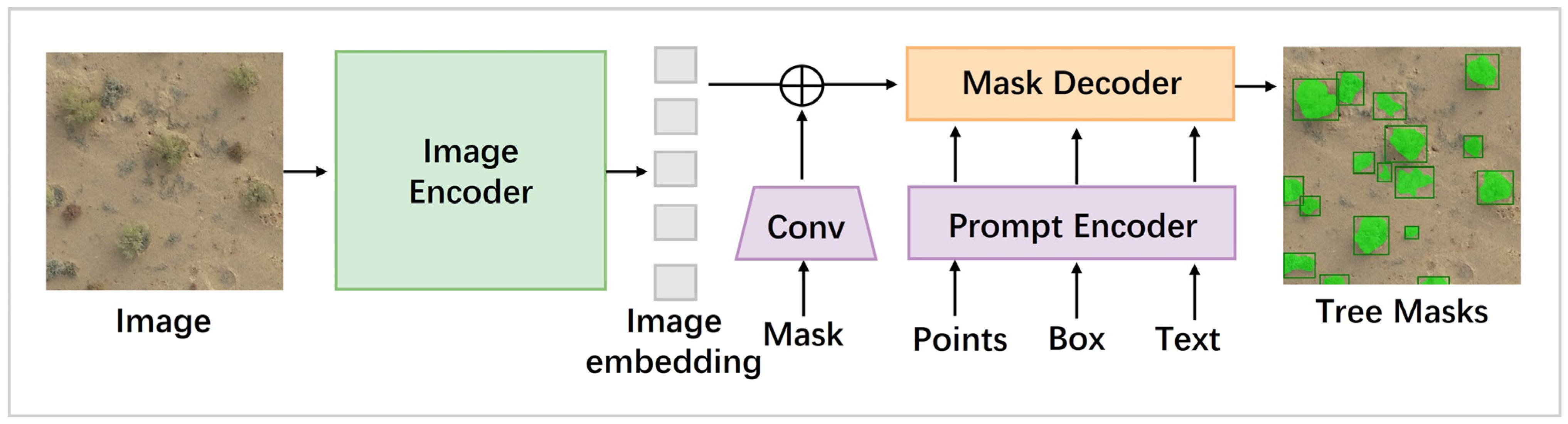 Remotesensing 17 00691 g003