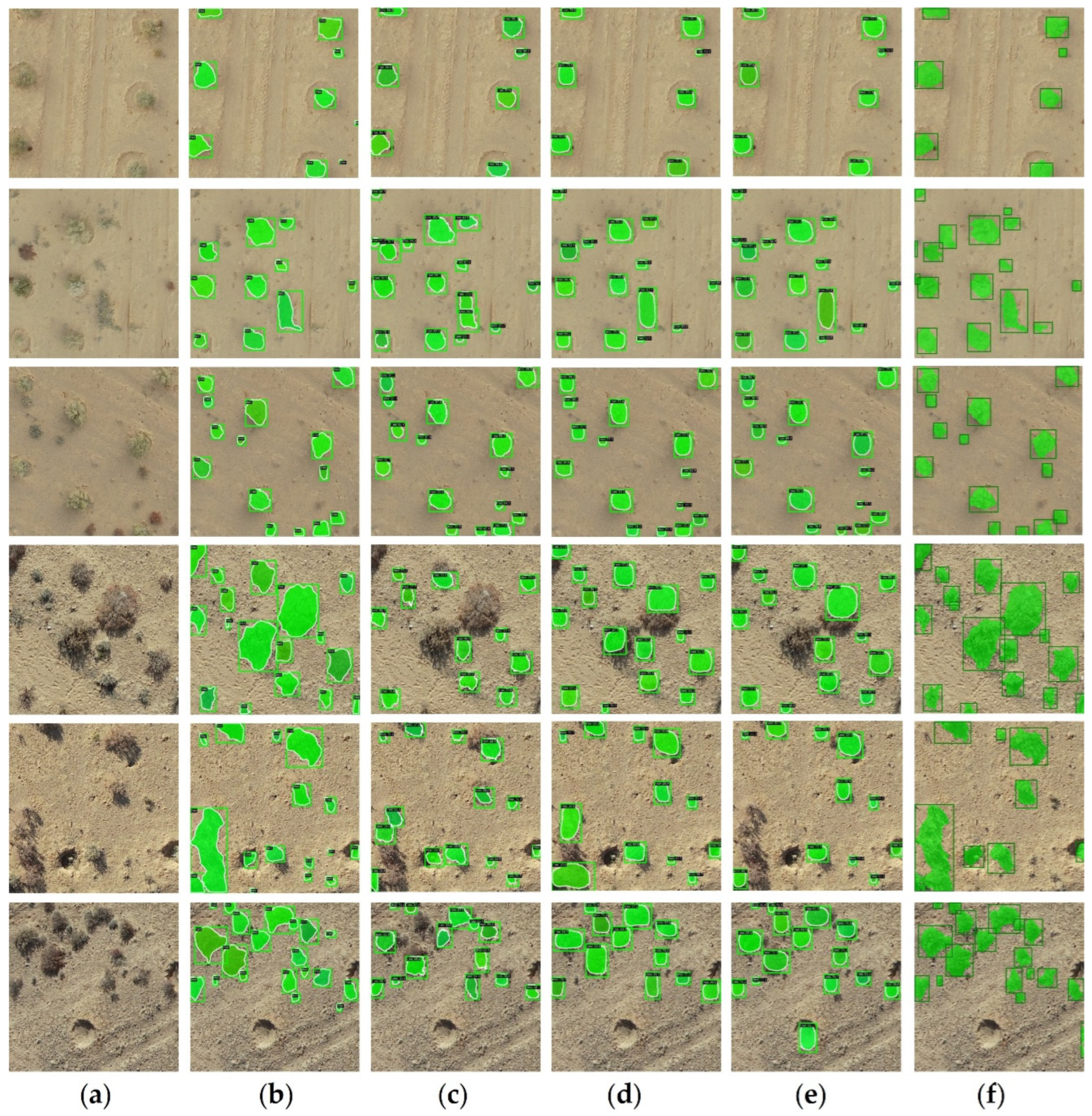 Remotesensing 17 00691 g006