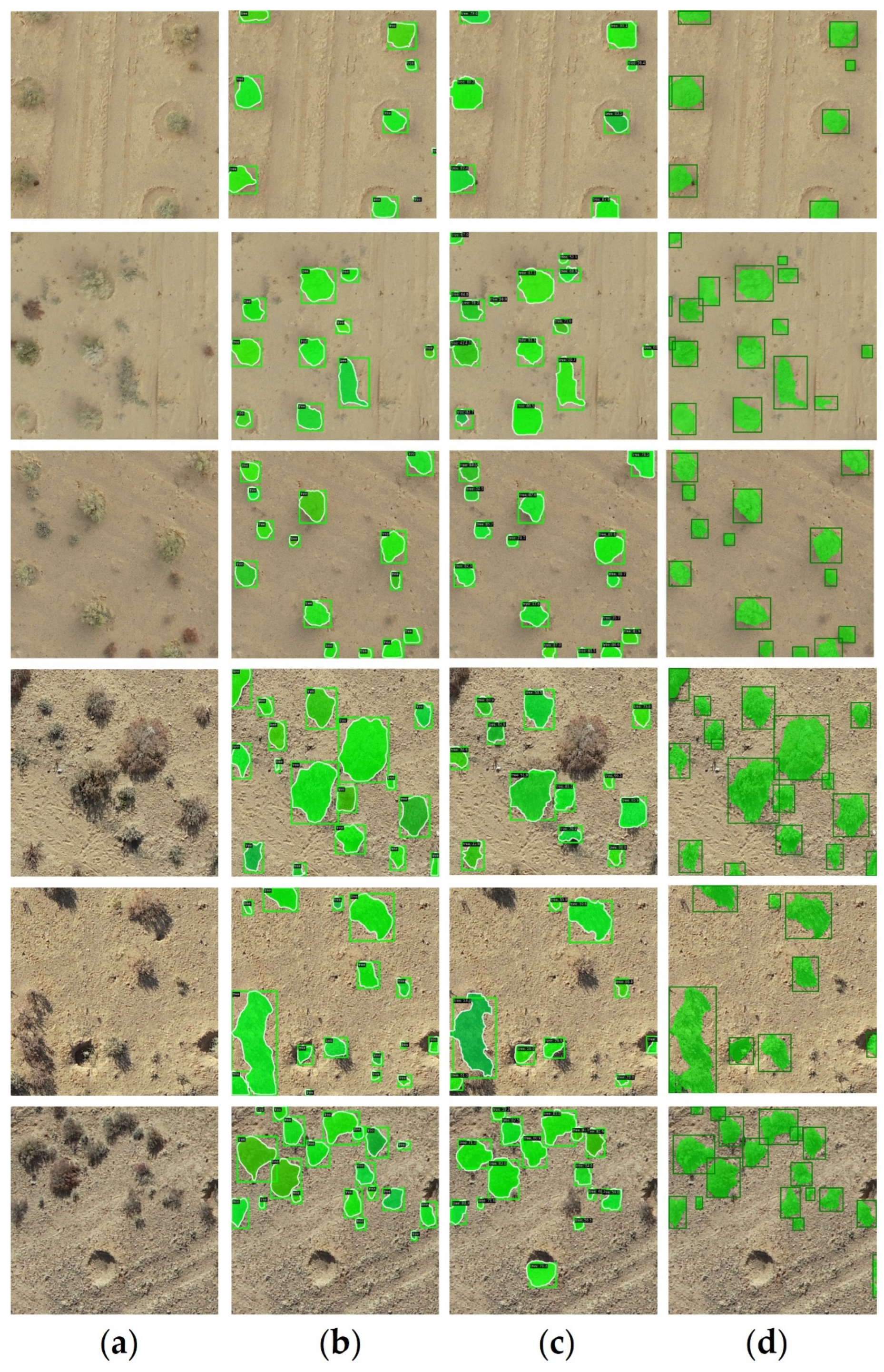 Remotesensing 17 00691 g012