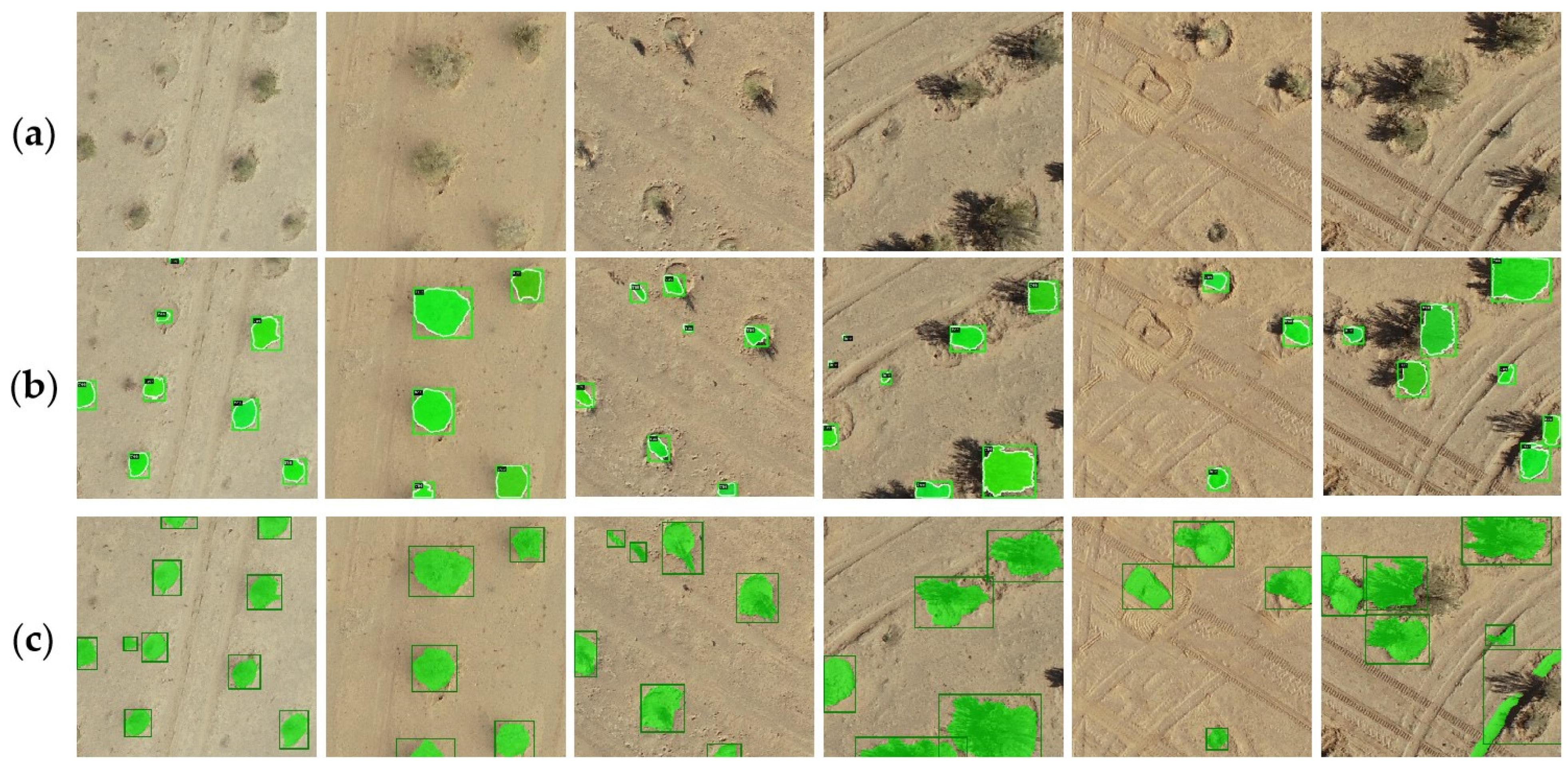 Remotesensing 17 00691 g013