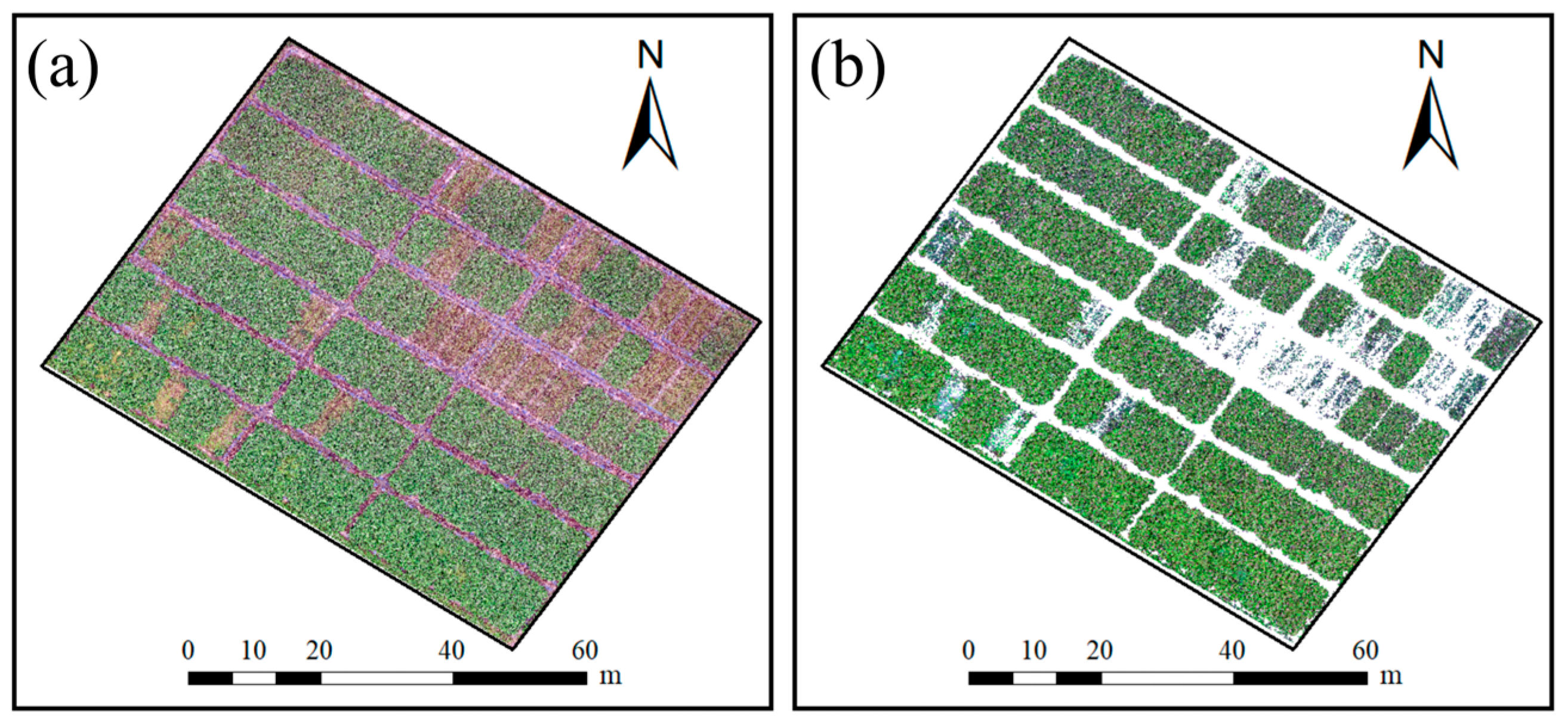 Remotesensing 17 00699 g003