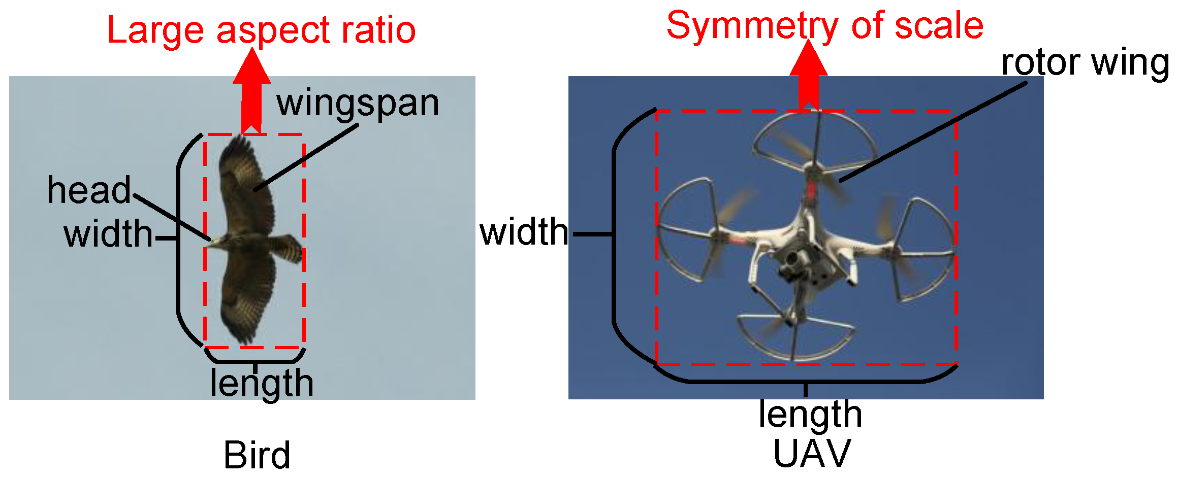 Remotesensing 17 00705 g007