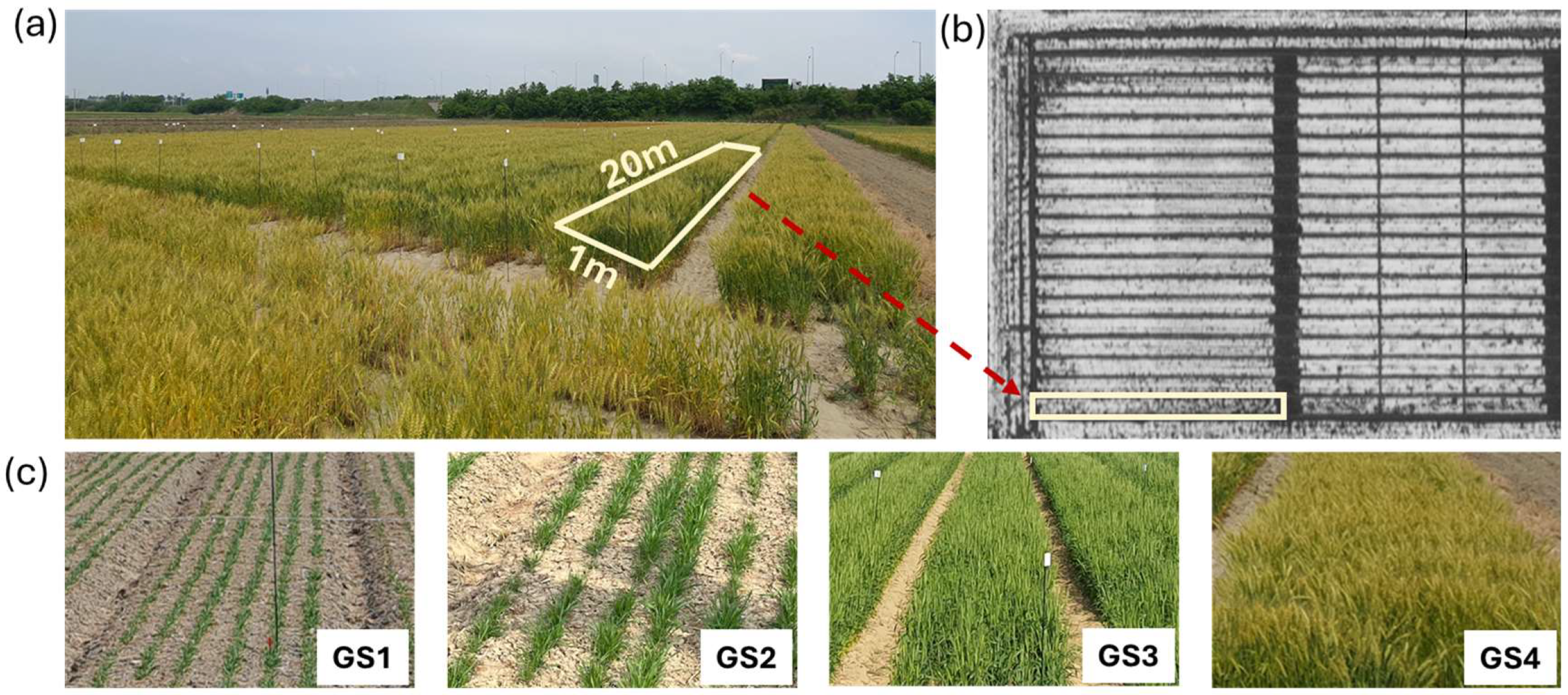 Remotesensing 17 00743 g001