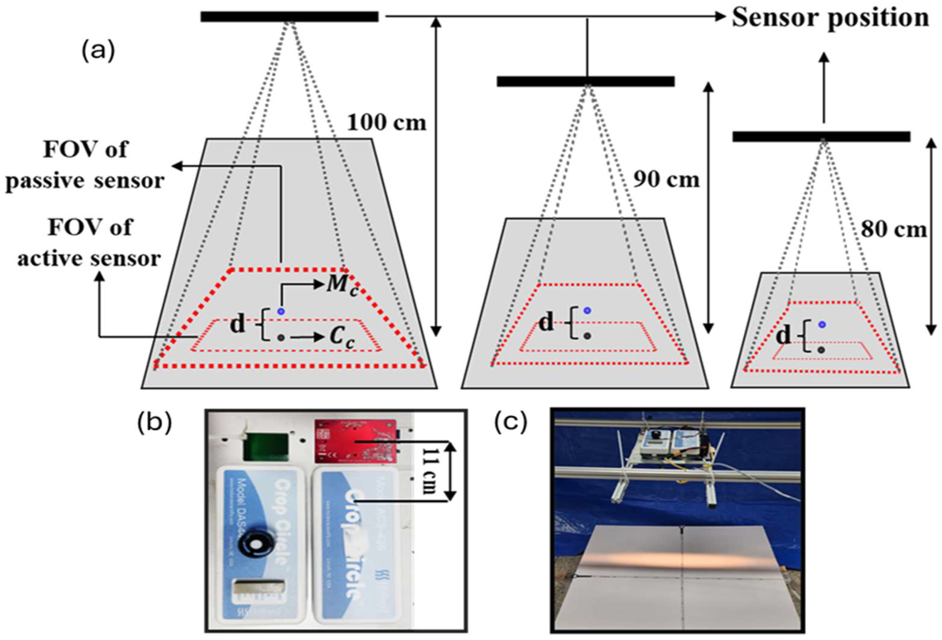 Remotesensing 17 00743 g003