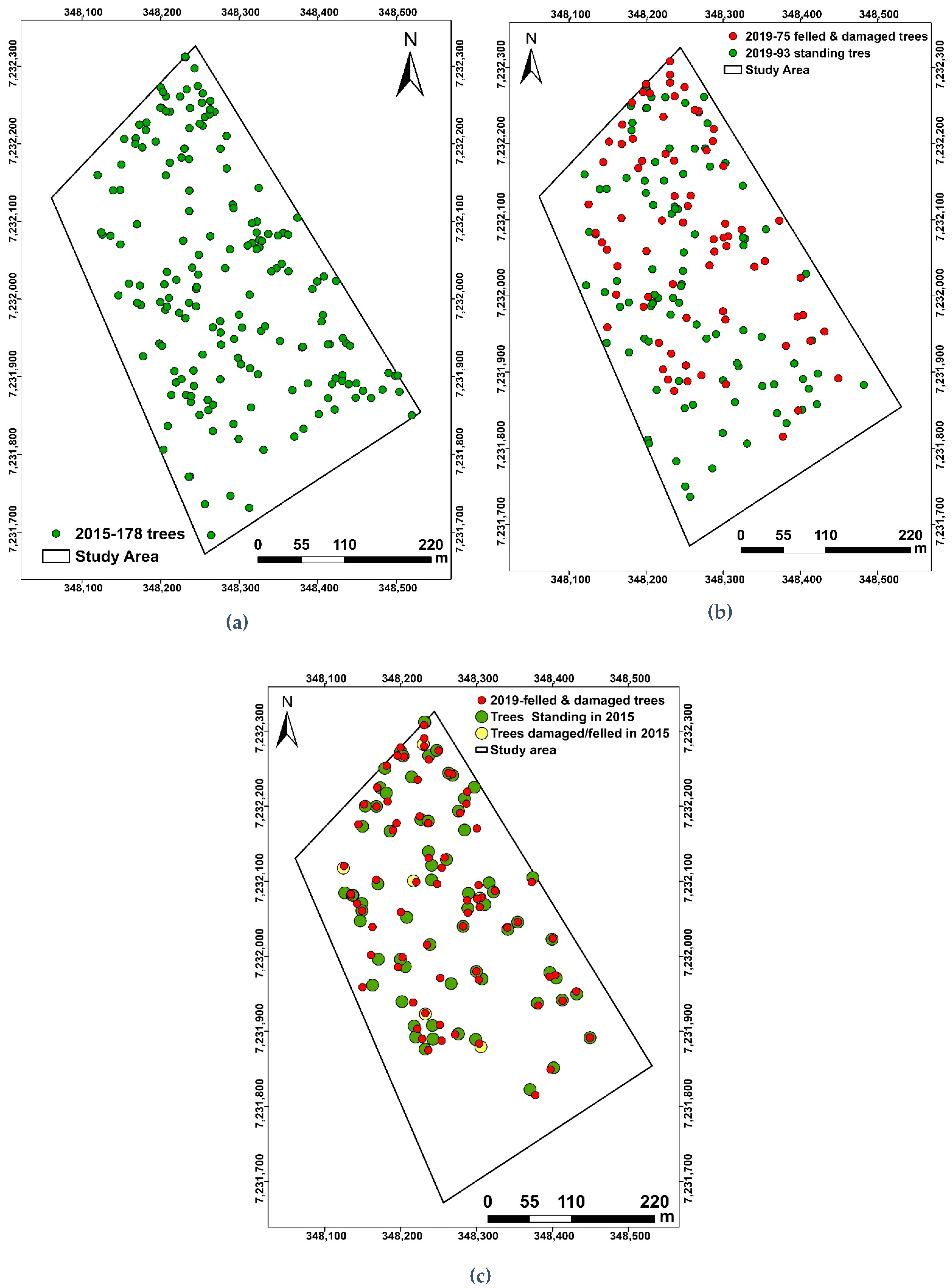 Remotesensing 17 00757 g002 Remotesensing 17 00757 g002