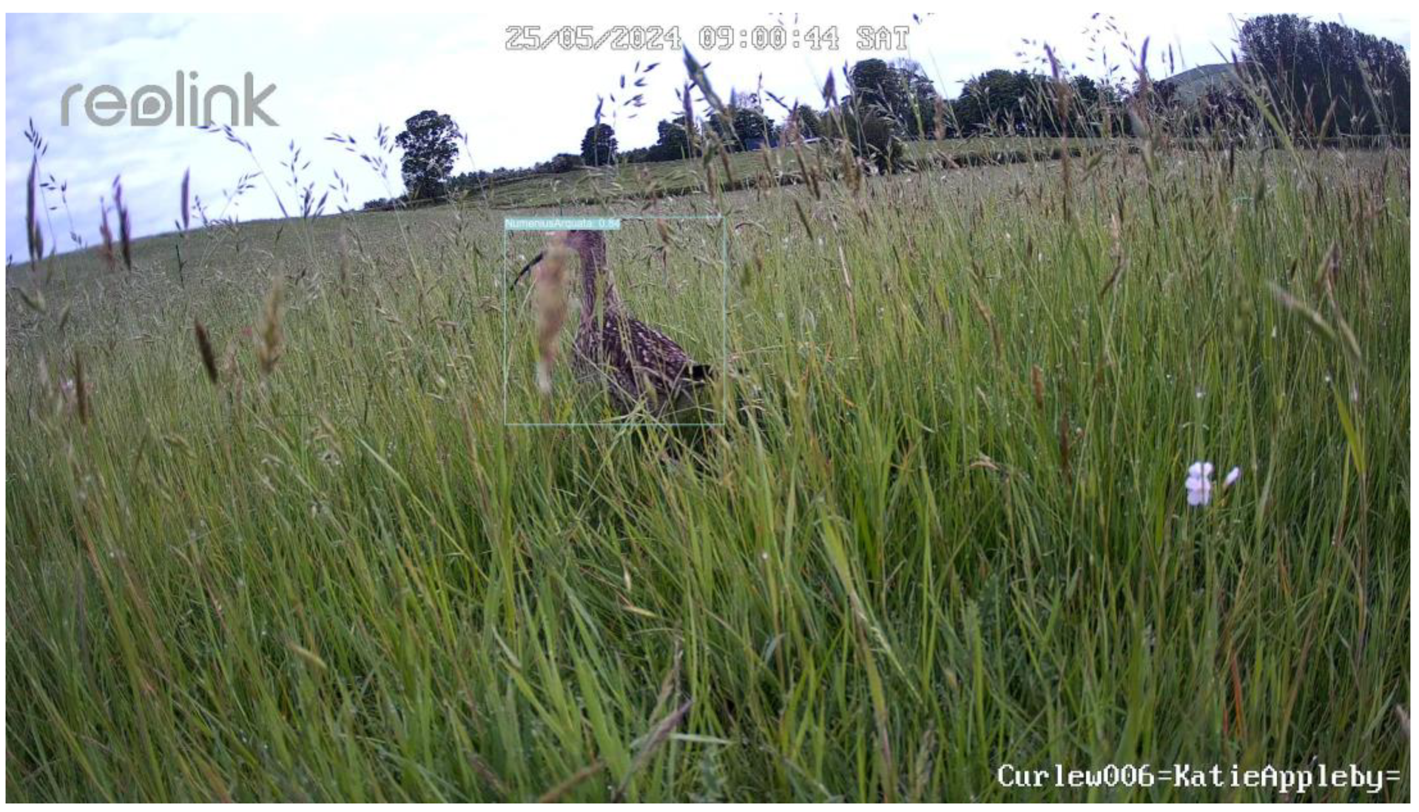 Remotesensing 17 00769 g013