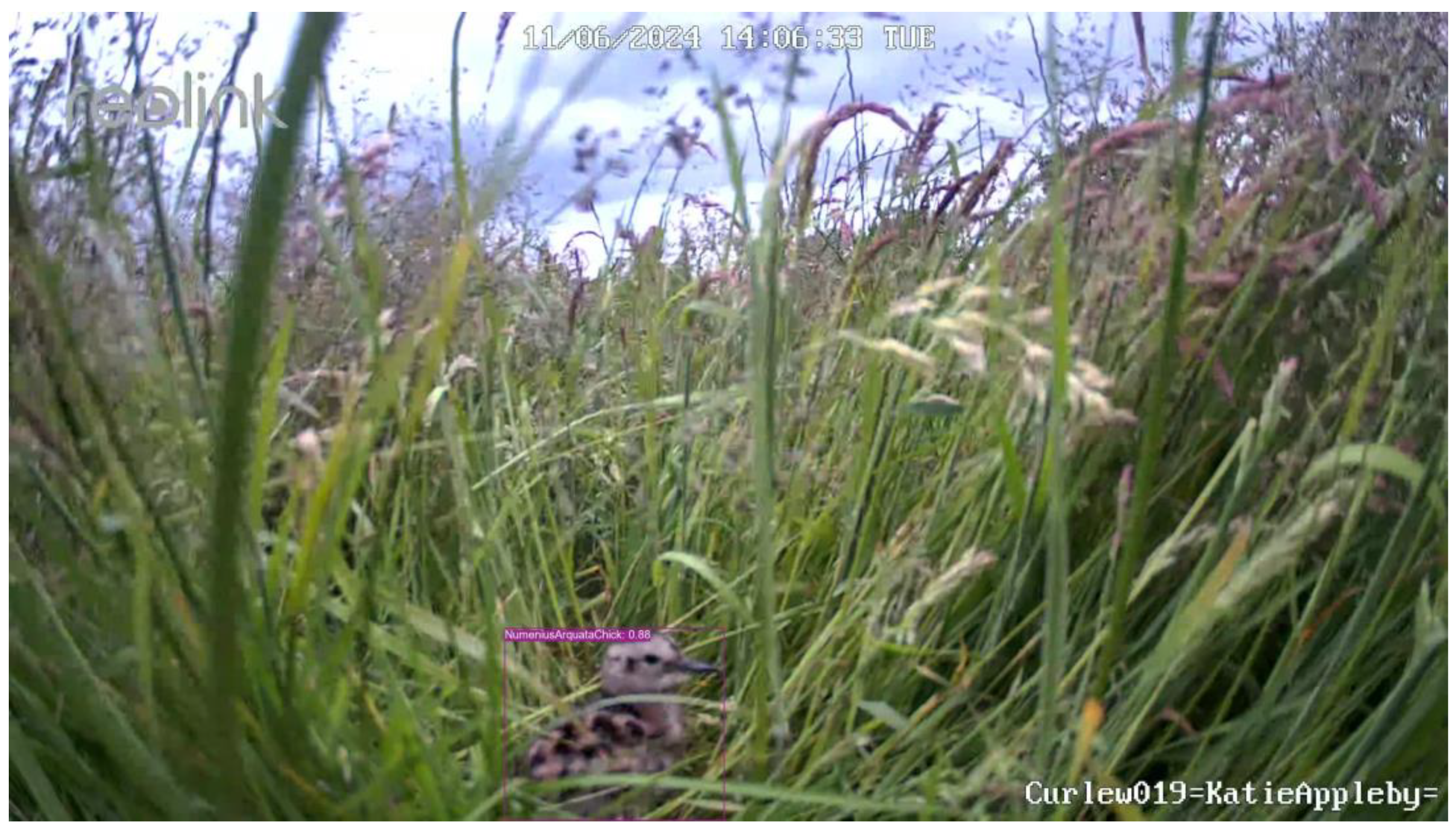 Remotesensing 17 00769 g014