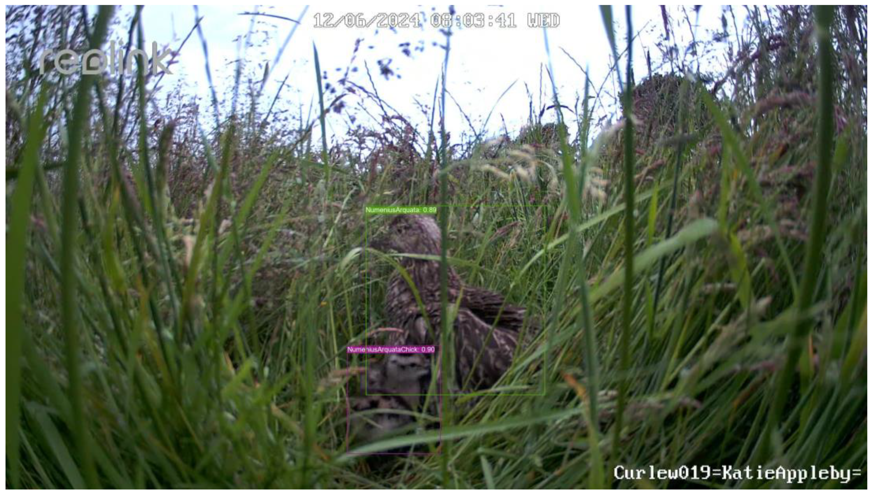 Remotesensing 17 00769 g015