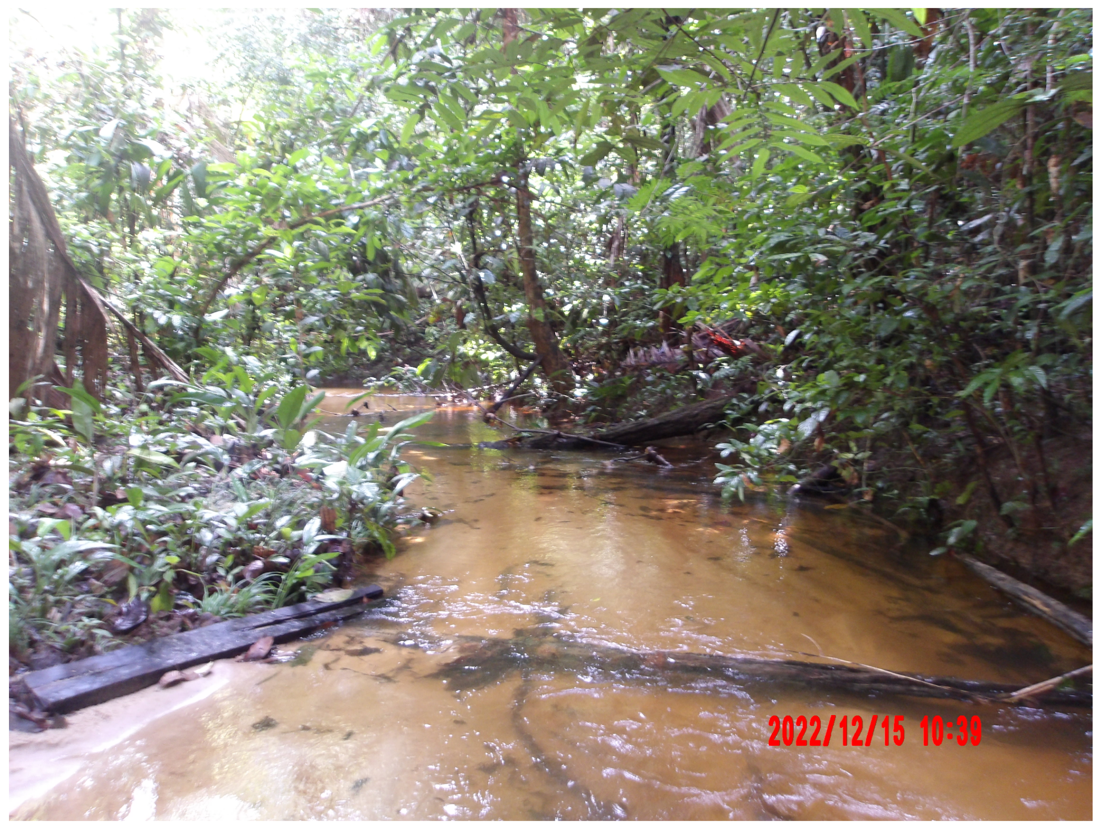 Remotesensing 17 00784 g001 Remotesensing 17 00784 g001