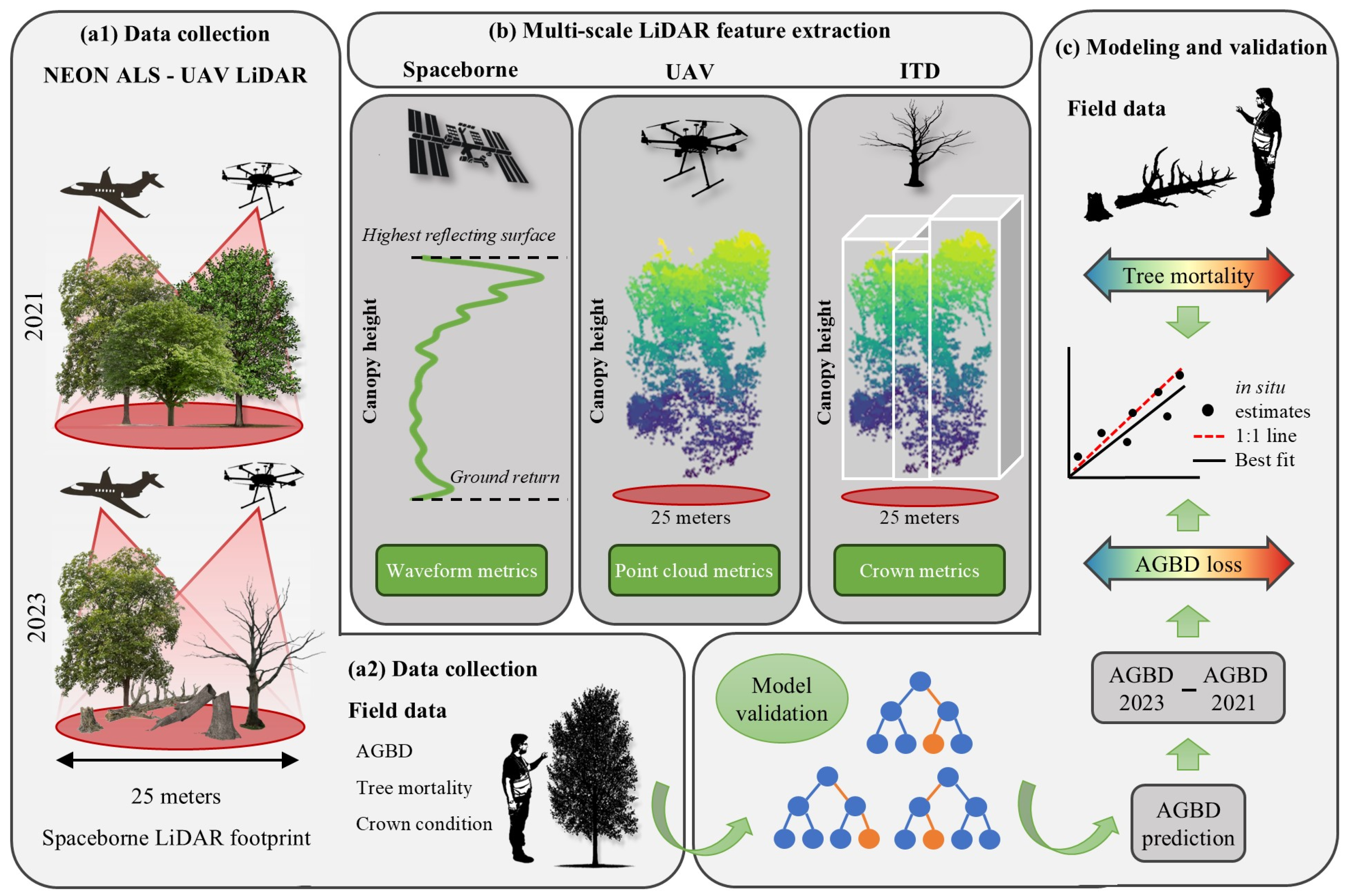 Remotesensing 17 00796 g002