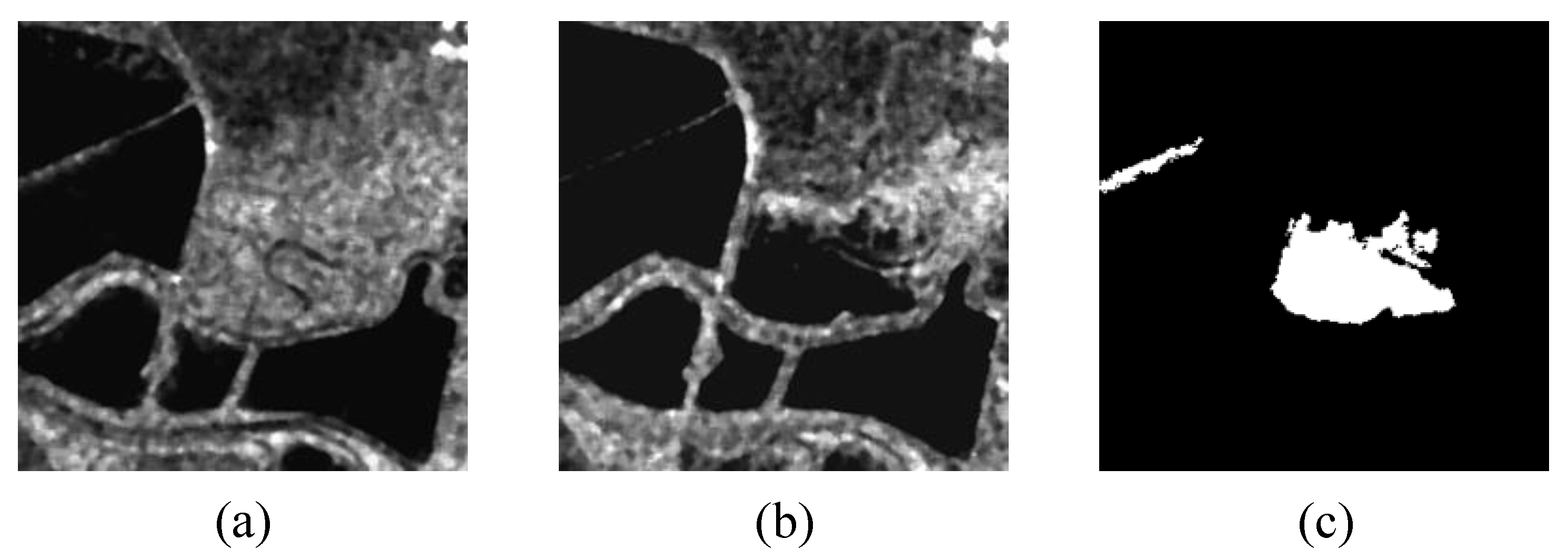 Remotesensing 17 00840 g006