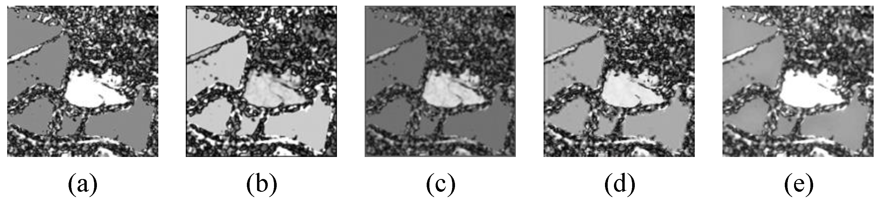 Remotesensing 17 00840 g010