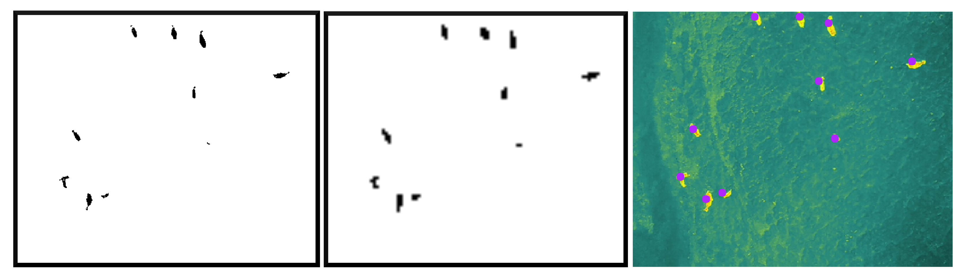 Remotesensing 17 00879 g005