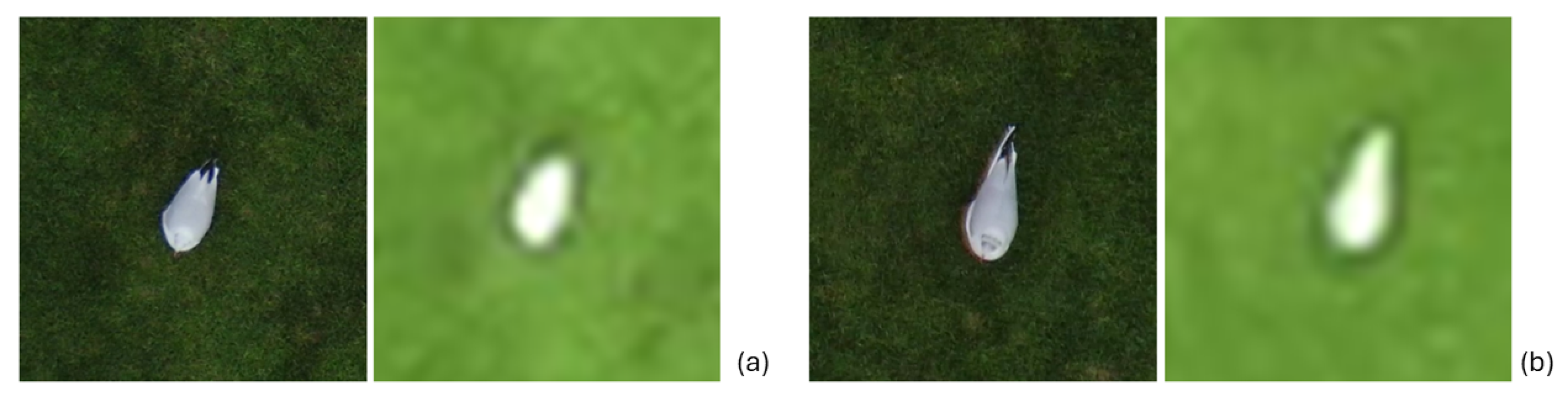 Remotesensing 17 00879 g010