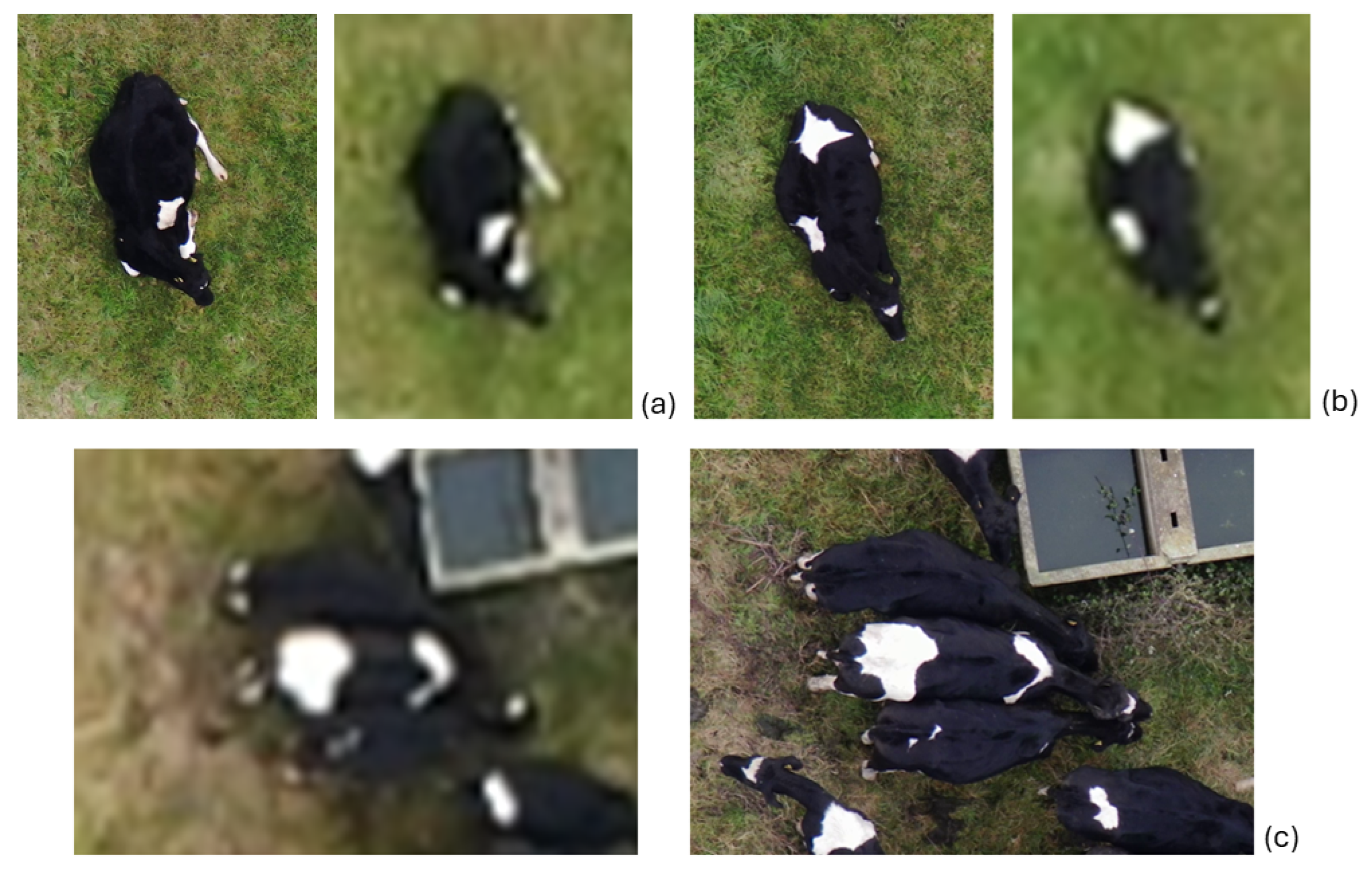 Remotesensing 17 00879 g011