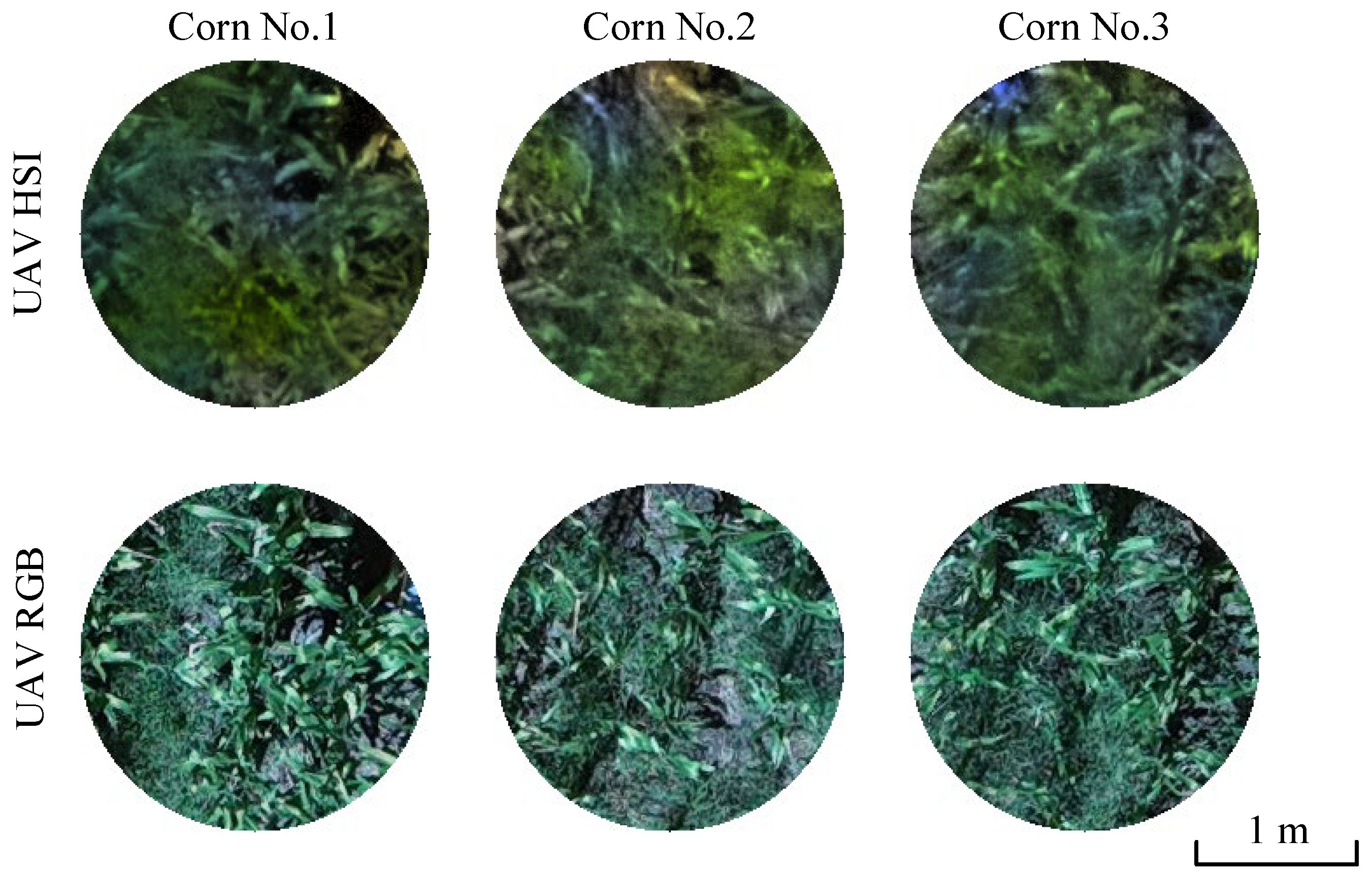 Remotesensing 17 00895 g004