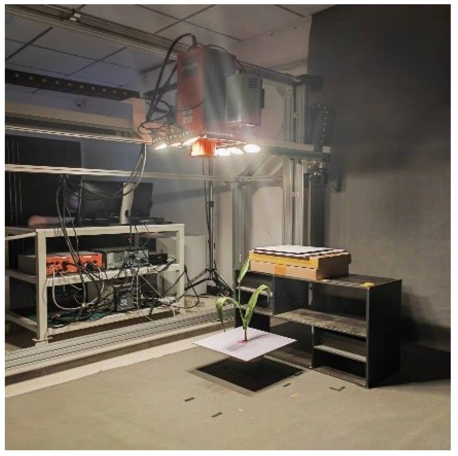 Remotesensing 17 00895 g005