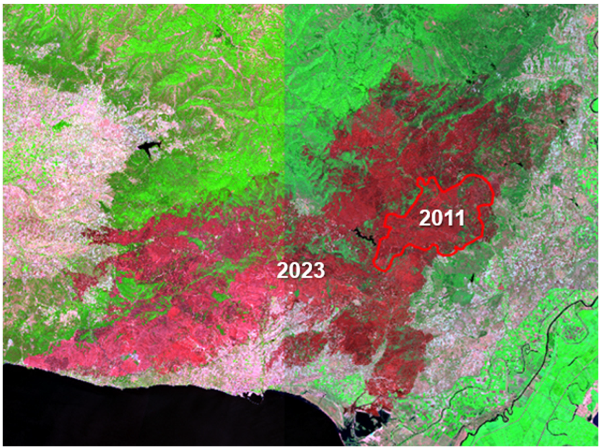 Remotesensing 17 00897 g004