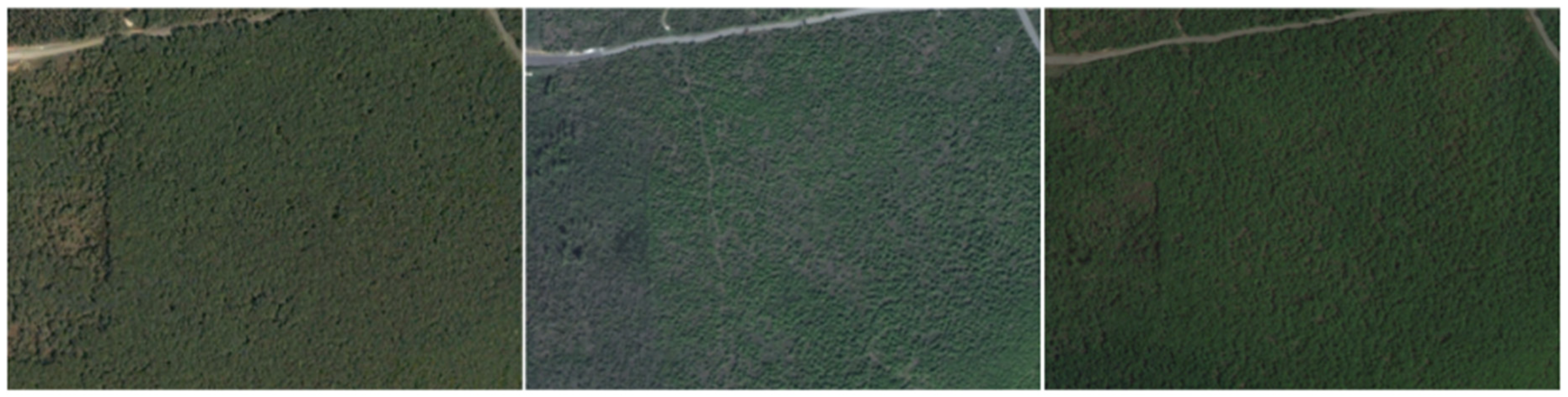 Remotesensing 17 00897 g008