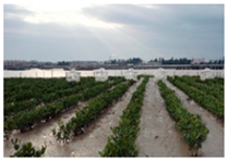 Remotesensing 17 00898 i001