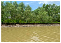 Remotesensing 17 00898 i013