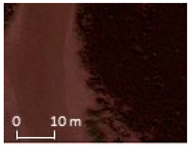 Remotesensing 17 00898 i020