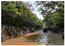 Remotesensing 17 00898 i021