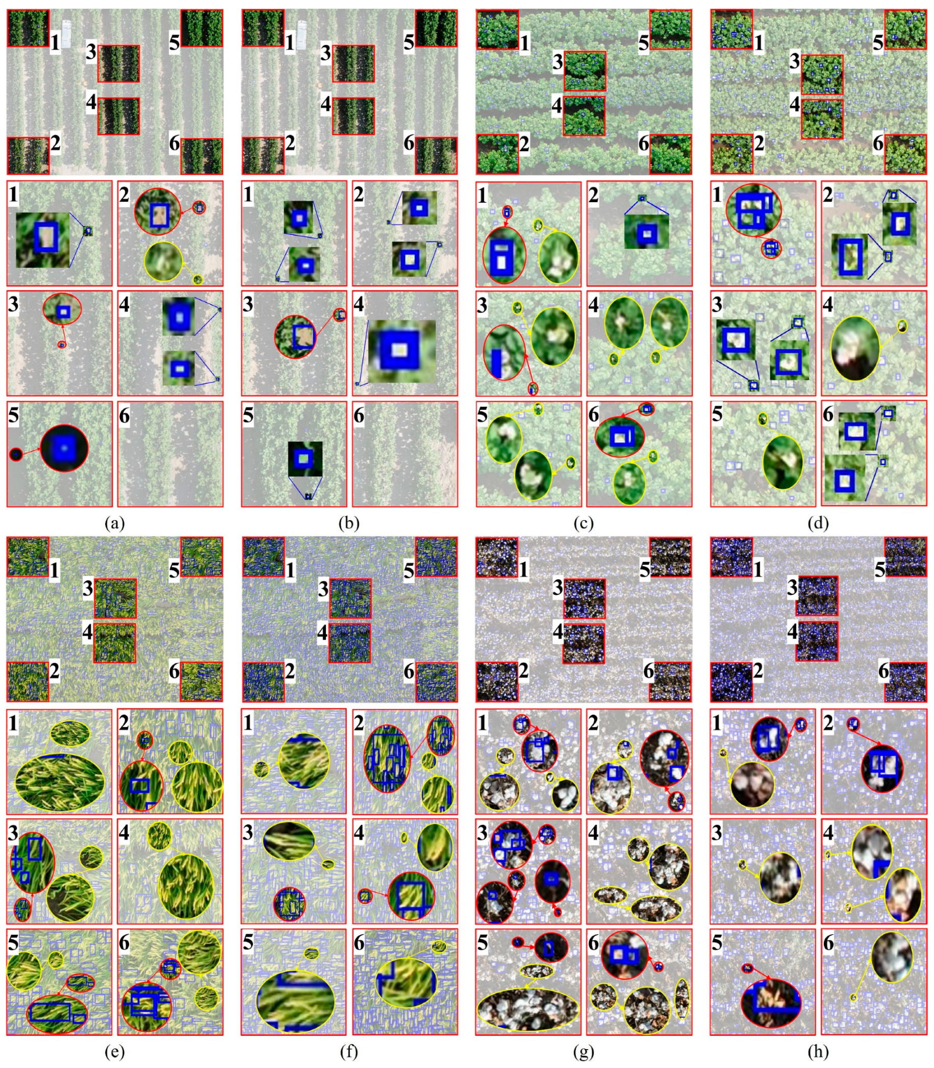 Remotesensing 17 00906 g008