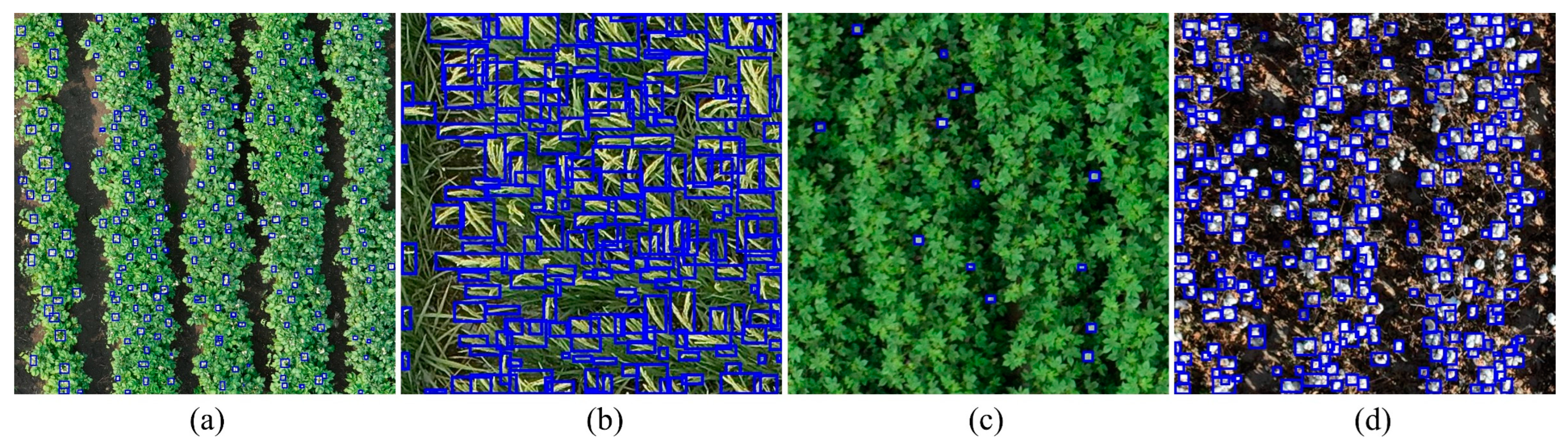 Remotesensing 17 00906 g0a2