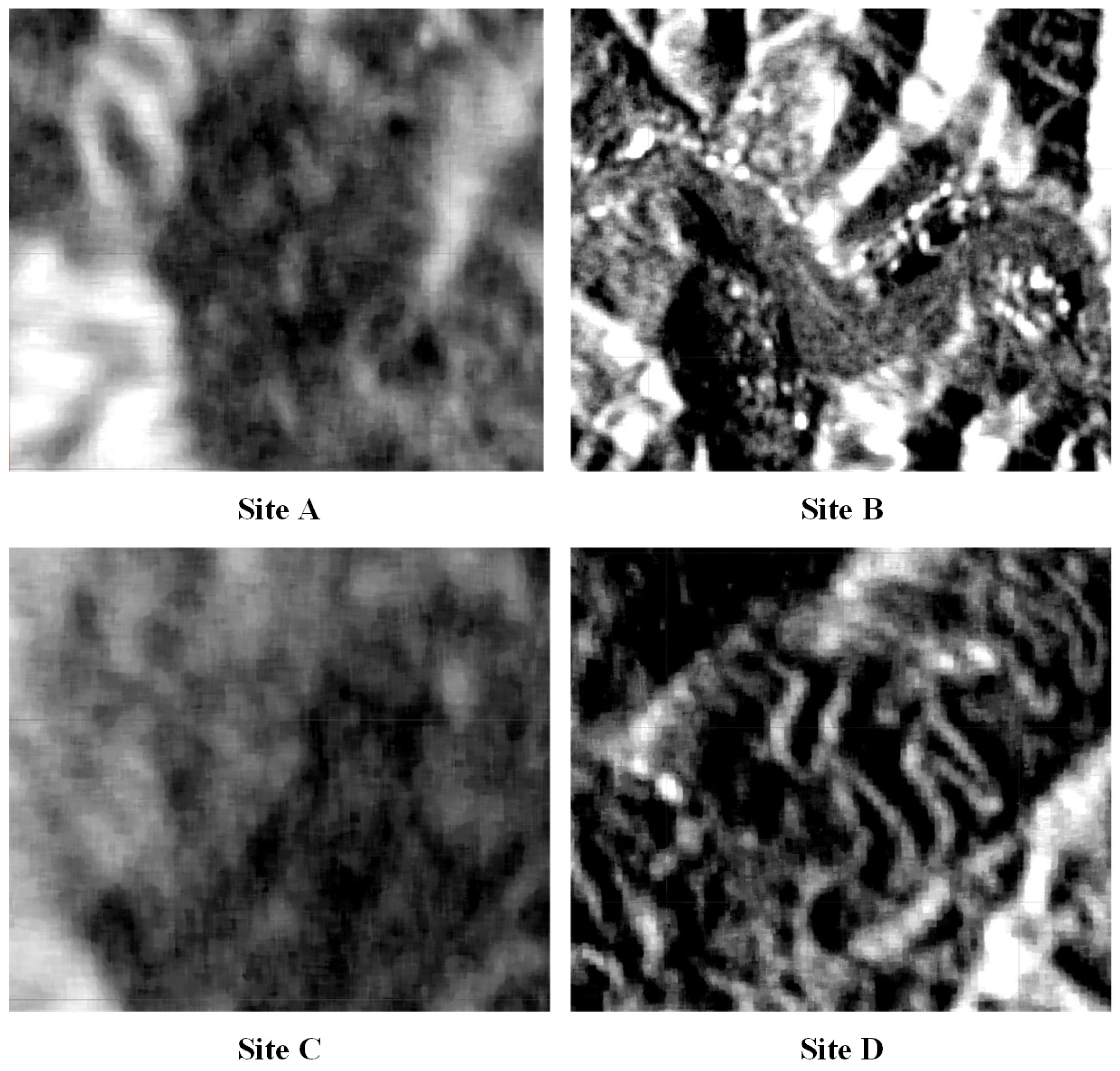 Remotesensing 17 00908 g0a2