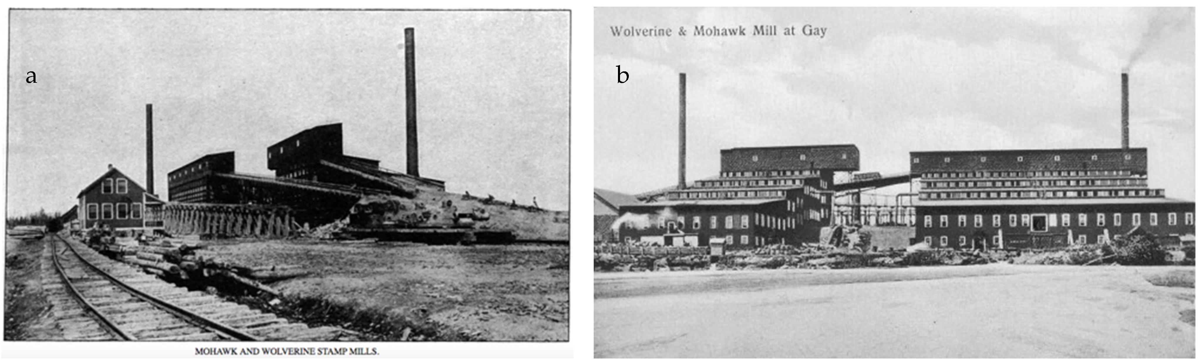 Remotesensing 17 00922 g004