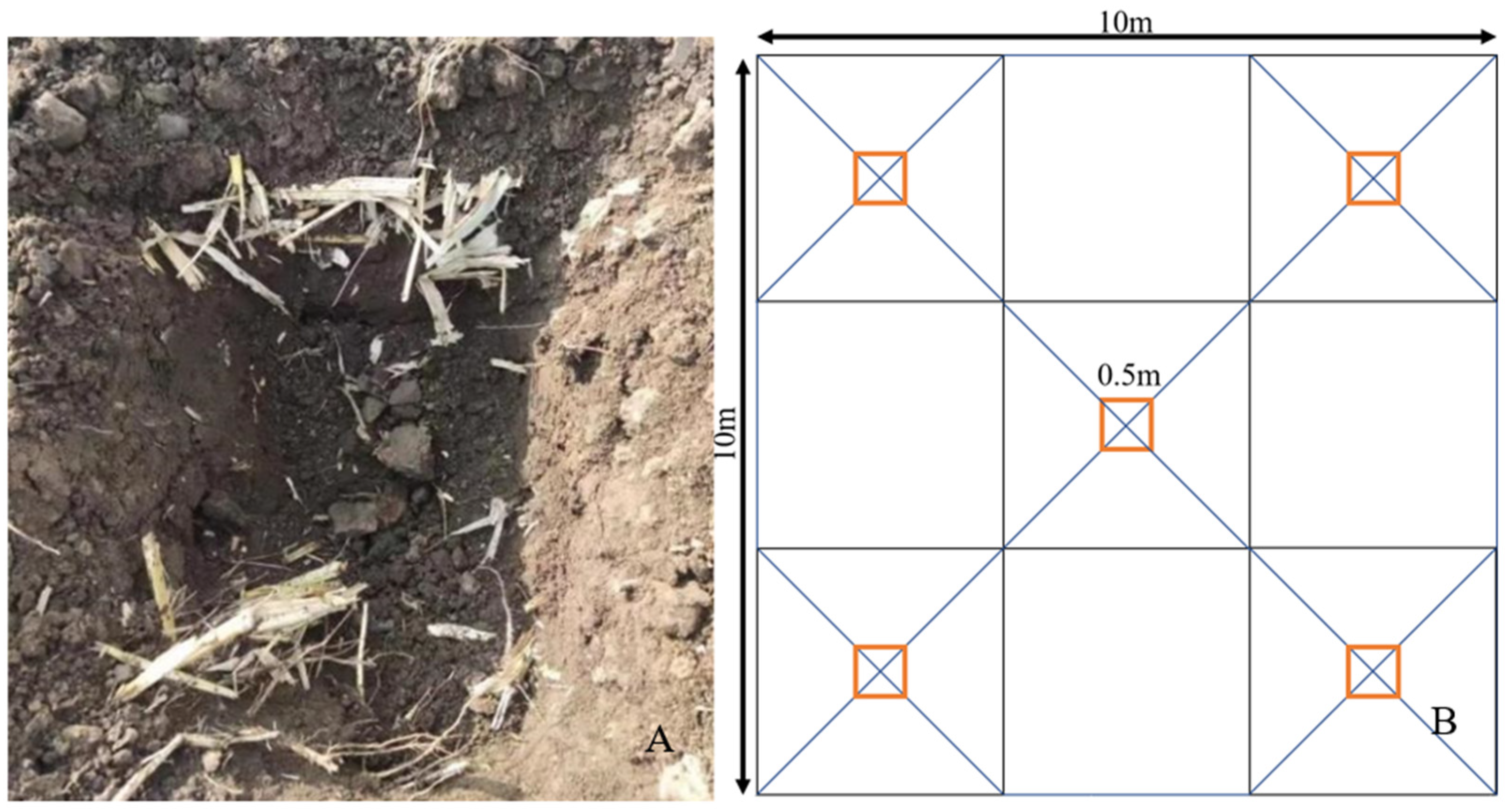 Remotesensing 17 00933 g002