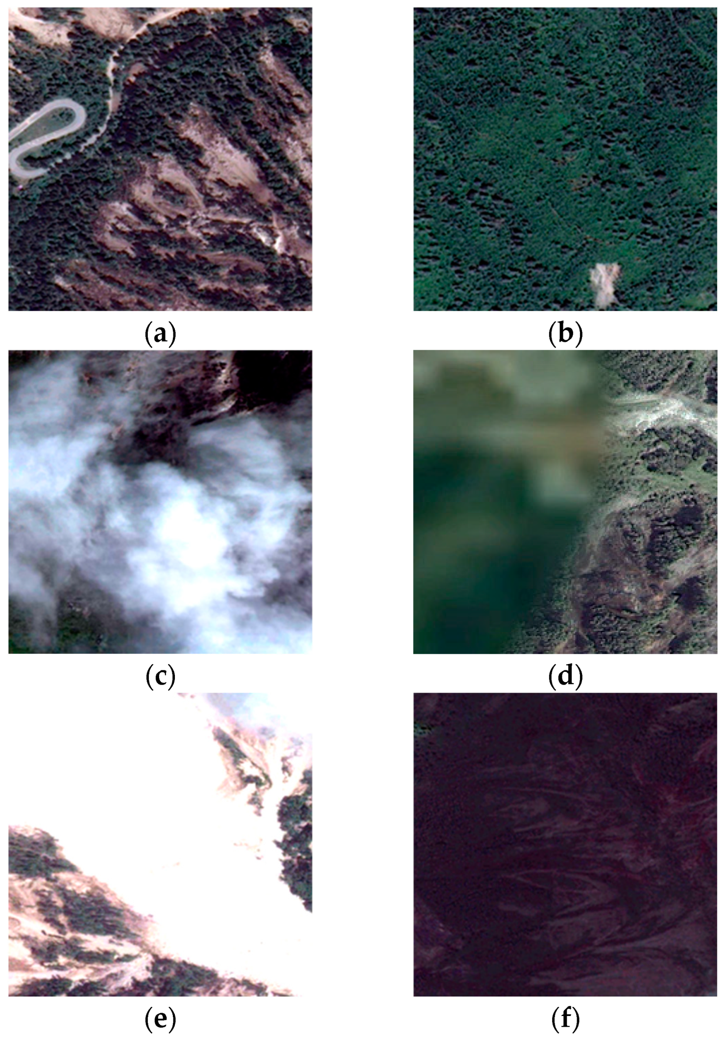 Remotesensing 17 00995 g005