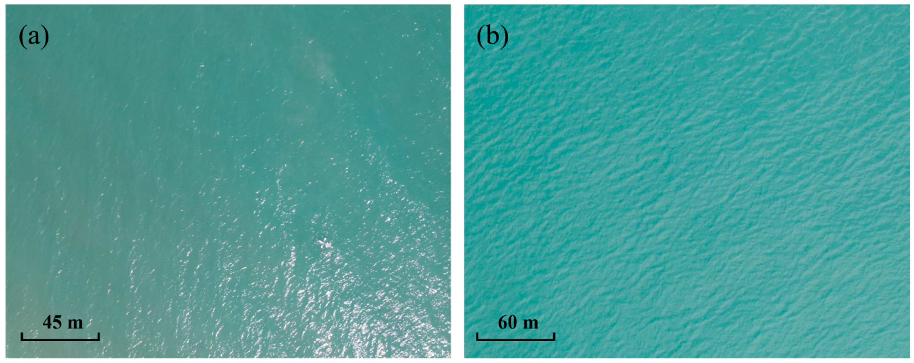 Remotesensing 17 00996 g001