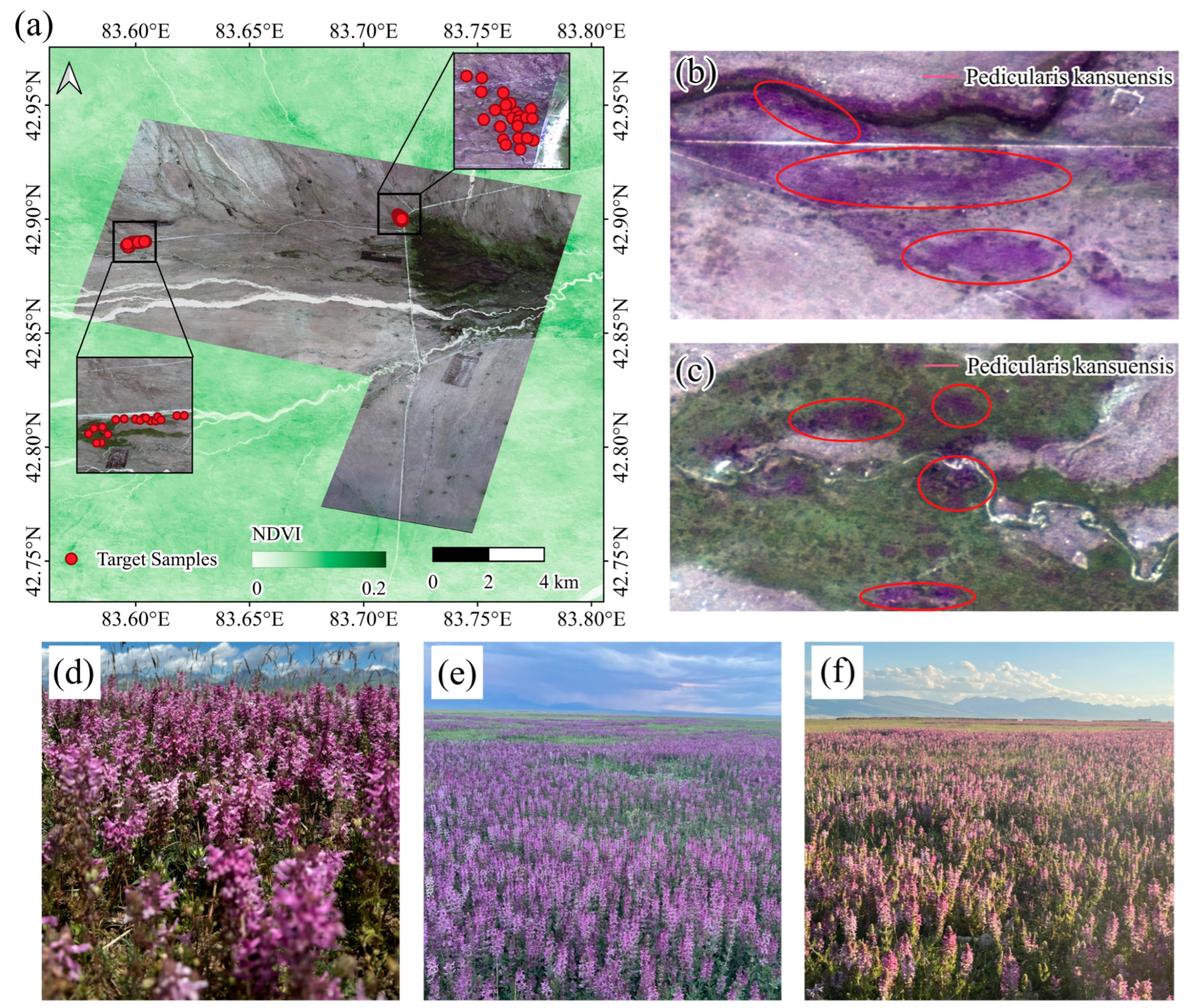 Remotesensing 17 01041 g001