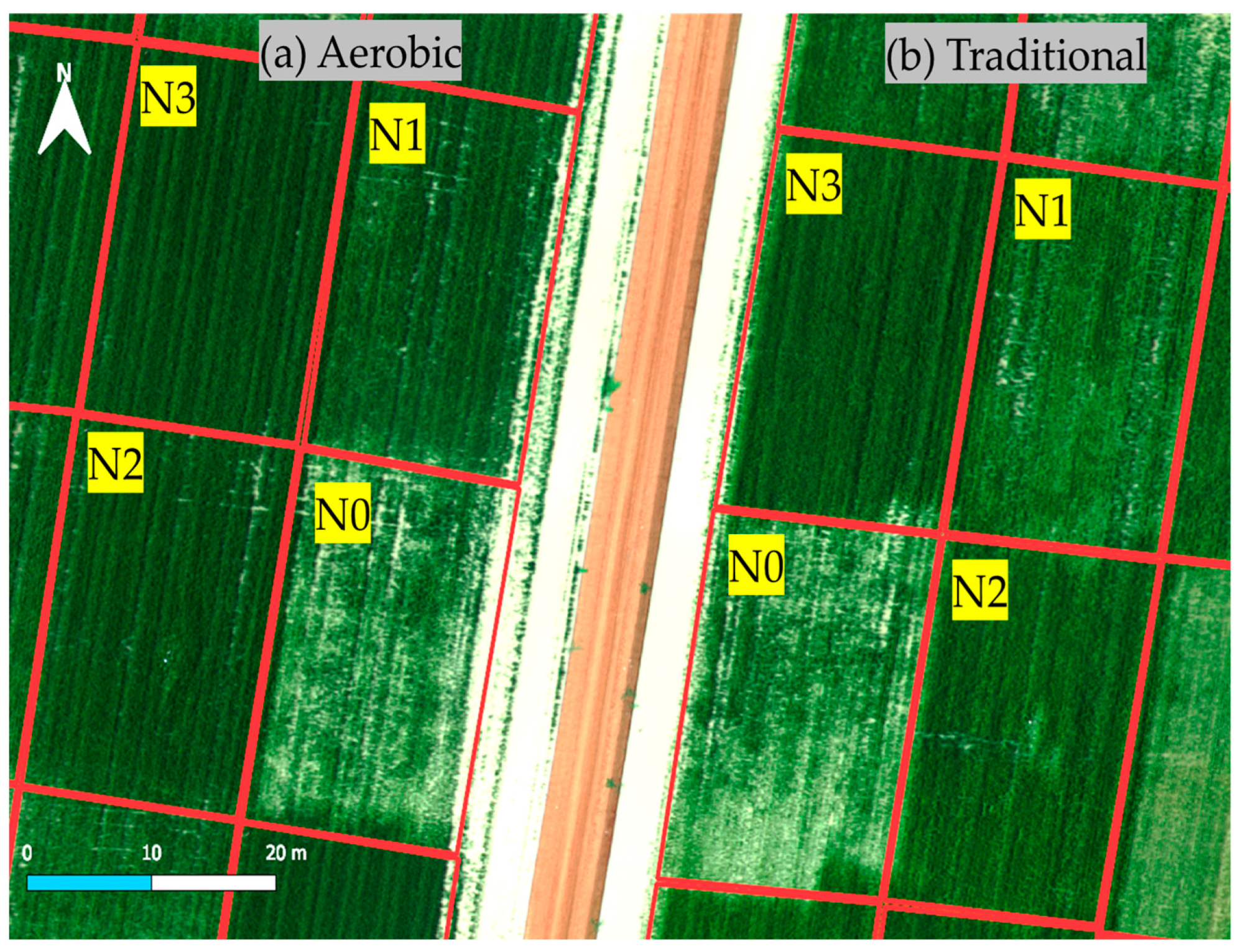 Remotesensing 17 01045 g004