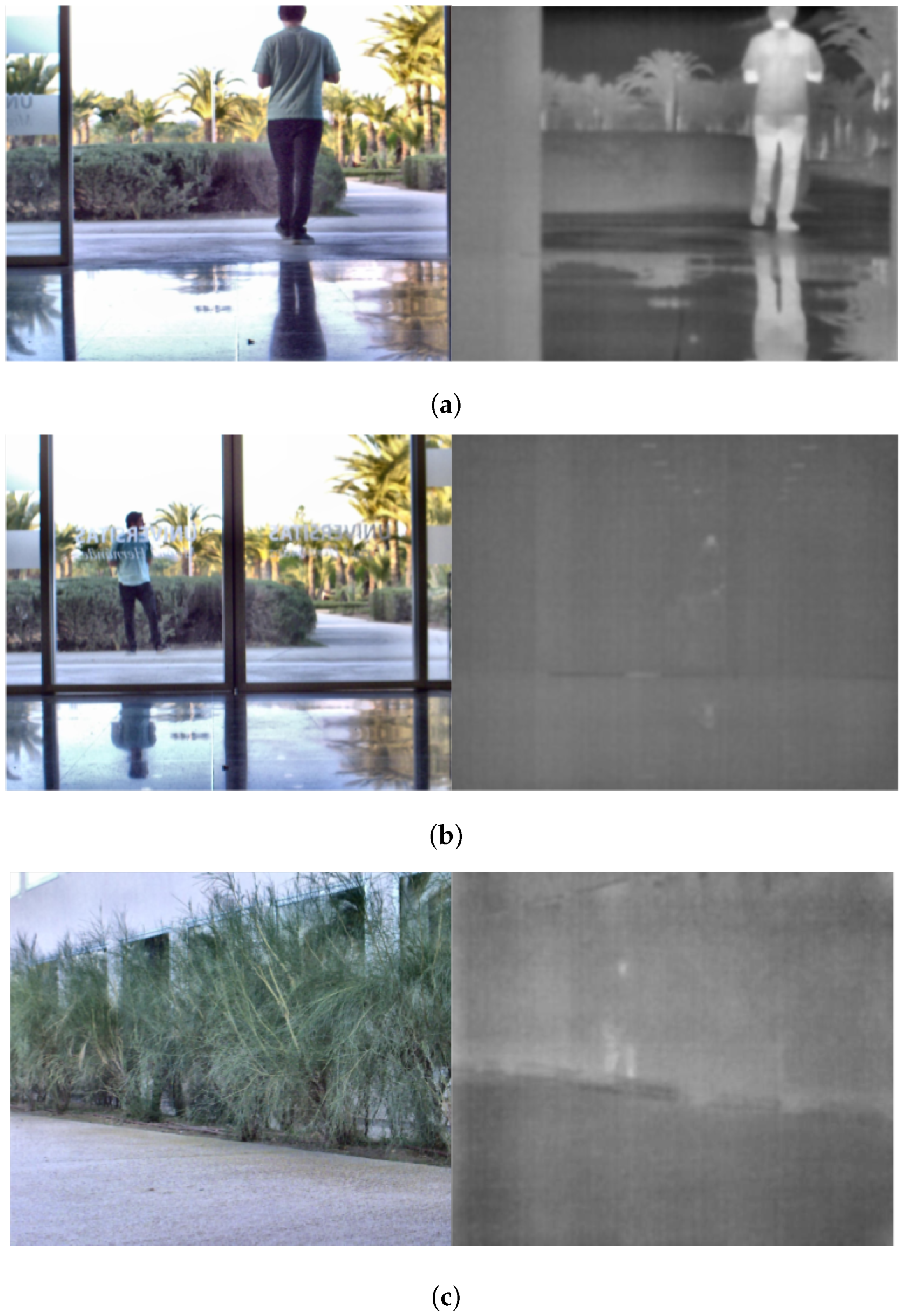 Remotesensing 17 01060 g001