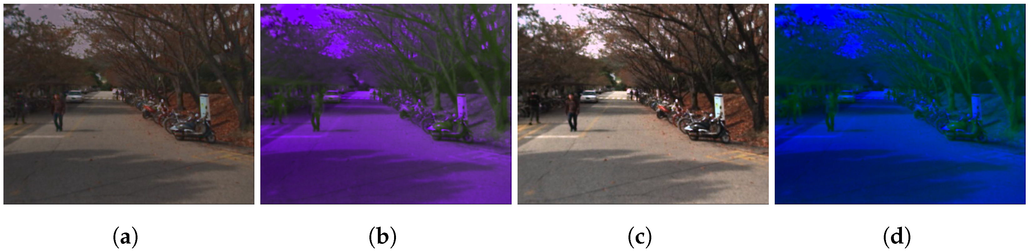 Remotesensing 17 01060 g006