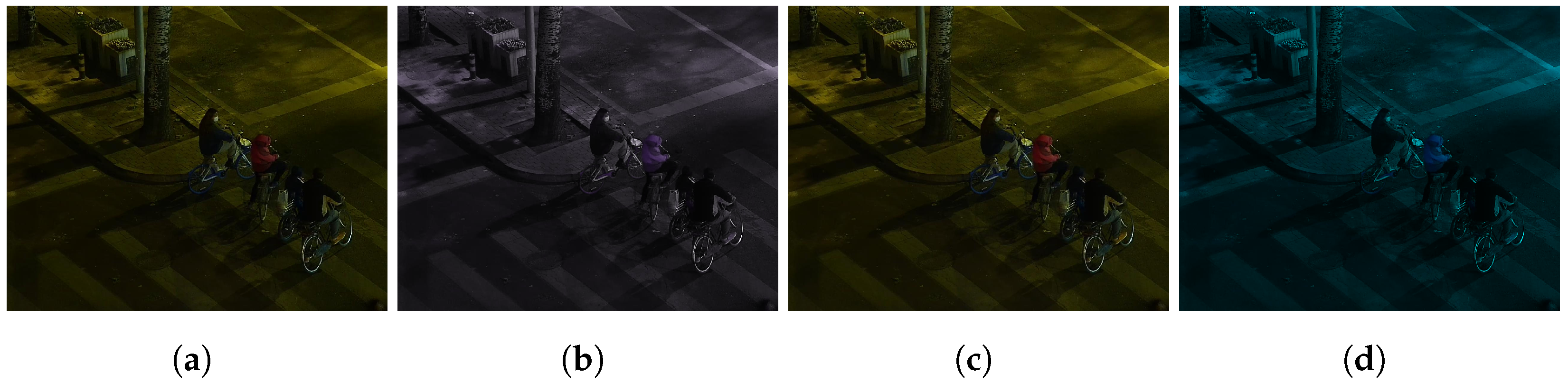 Remotesensing 17 01060 g007