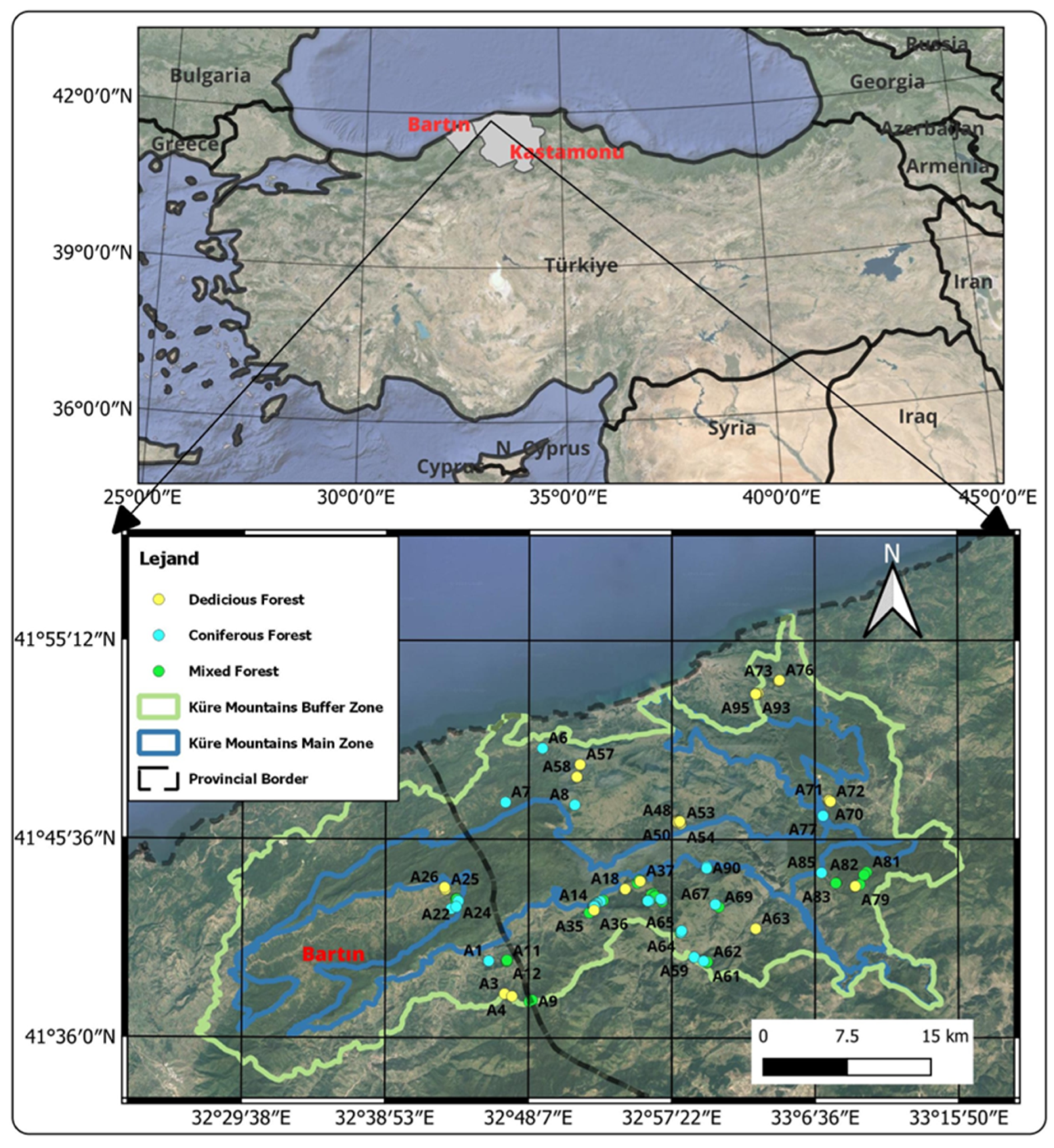Remotesensing 17 01063 g001