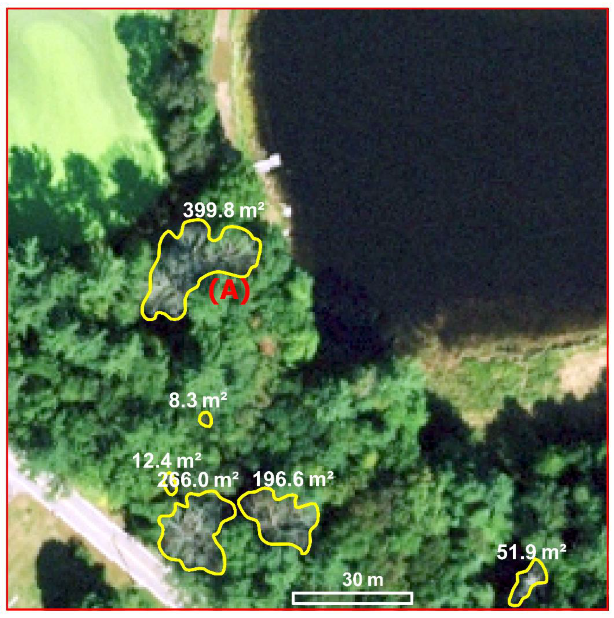 Remotesensing 17 01066 g004